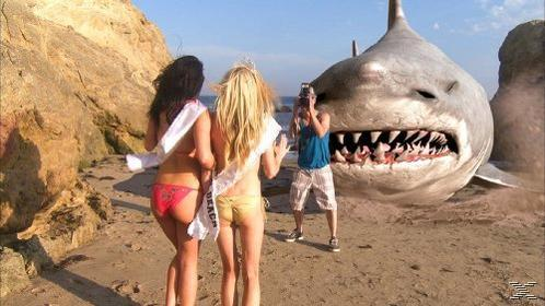Zwei Frauen in Bikinis und Schärpen stehen am Strand. Ein Mann fotografiert sie vor einem riesigen Hai.