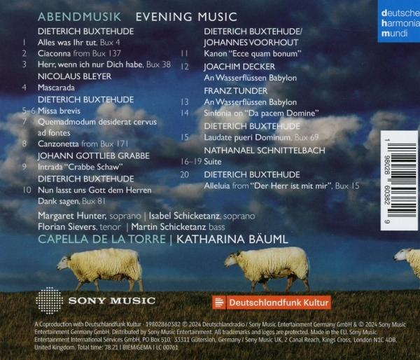 Albumcover mit Musikstücken, Künstlernamen und zwei Schafen auf einem Feld.