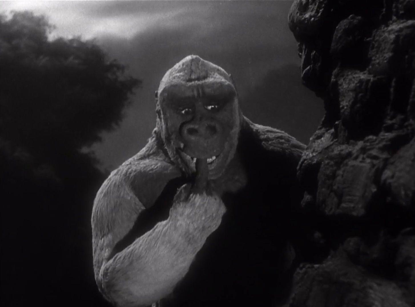 Ein Gorilla hält den Finger vor den Mund, blickt zur Seite, im Dunkeln.
