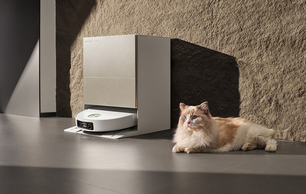 Kot leży obok robota odkurzającego przed ścianą.