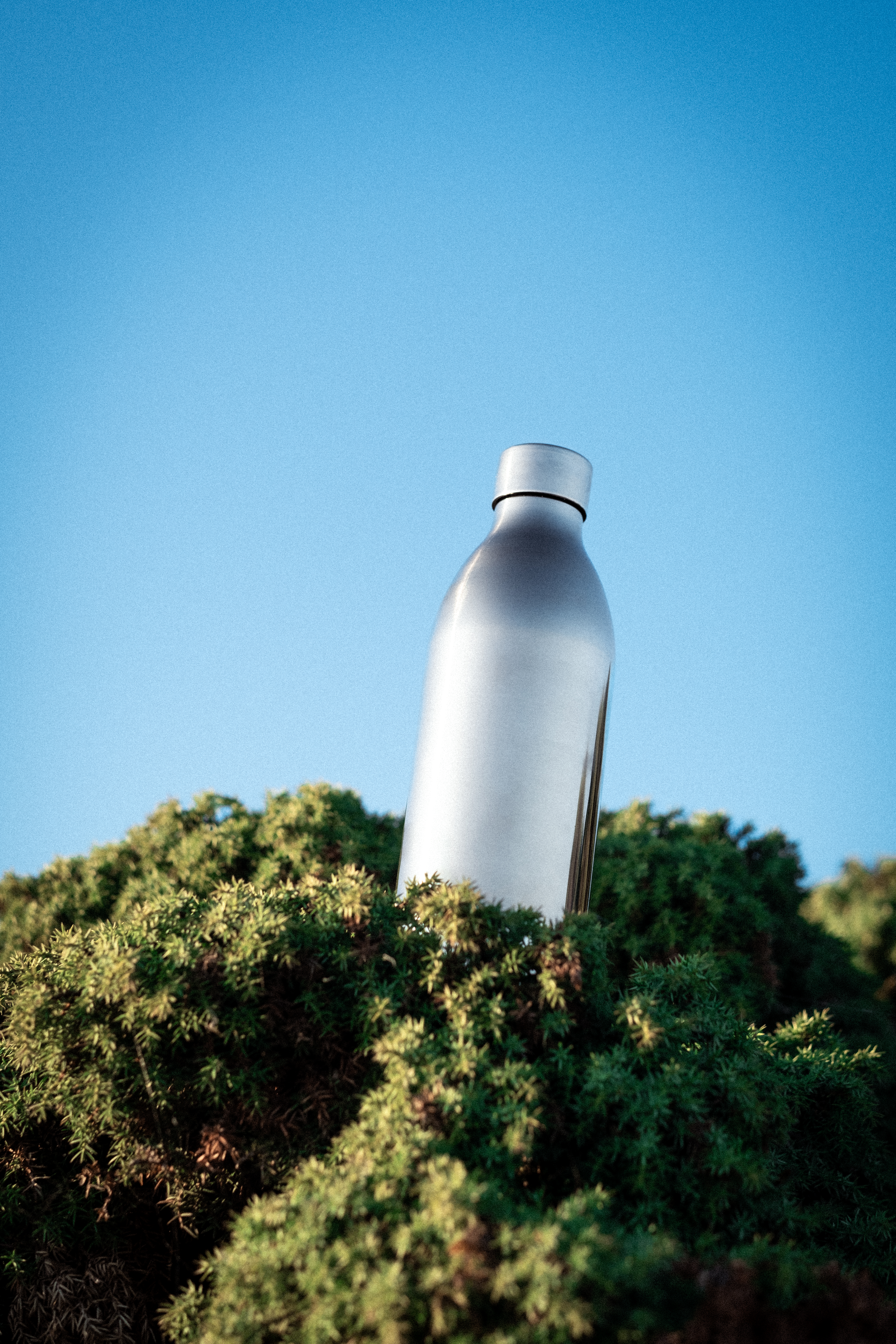 Eine silberne Flasche ragt aus grünen Büschen unter klarem Himmel.
