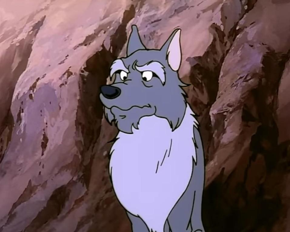 Ein grauer Wolf mit einem besorgten Ausdruck steht vor einer Felswand.