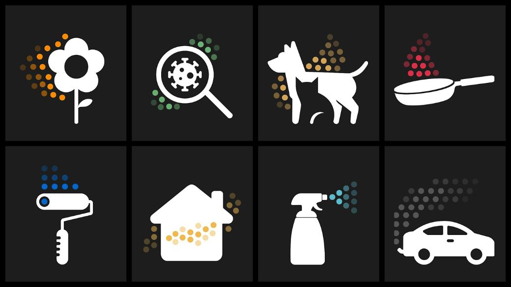 Fleur, loupe avec virus, chien avec chat, poêle. Rouleau, maison, spray, voiture.