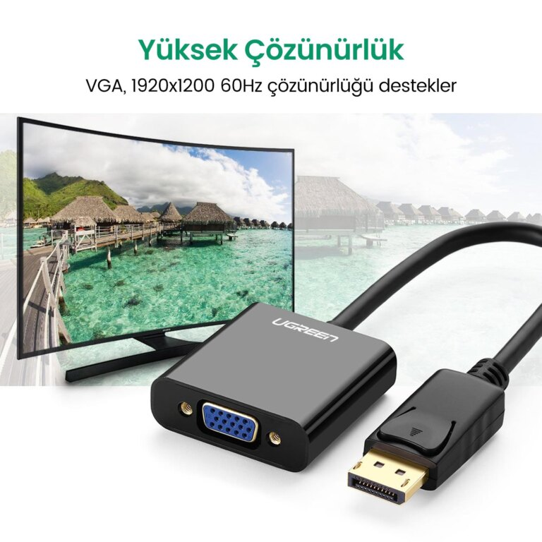 Tropikal bir sahne gösteren monitörün yanında siyah DisplayPort - VGA adaptörü.