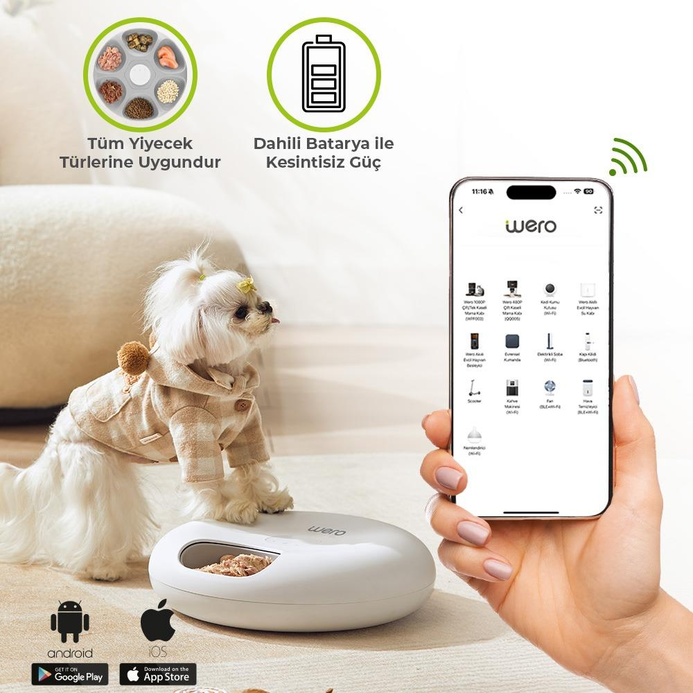 Kazaklı köpek mama otomatı yanında. Bir el Wero uygulamasını gösteren telefon tutuyor.