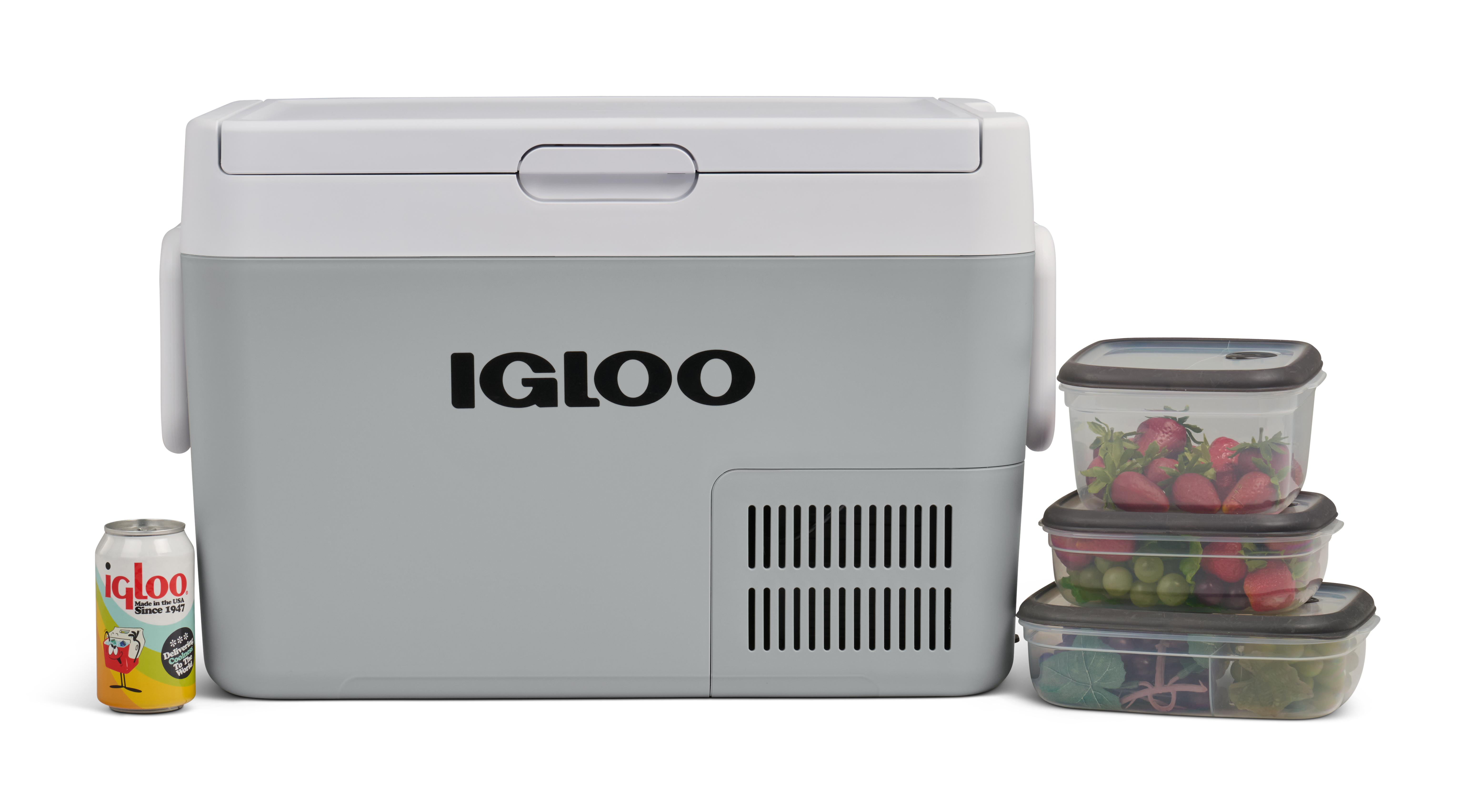 Ein grauer und weißer Igloo-Kühler mit einer Dose und Obstbehältern.