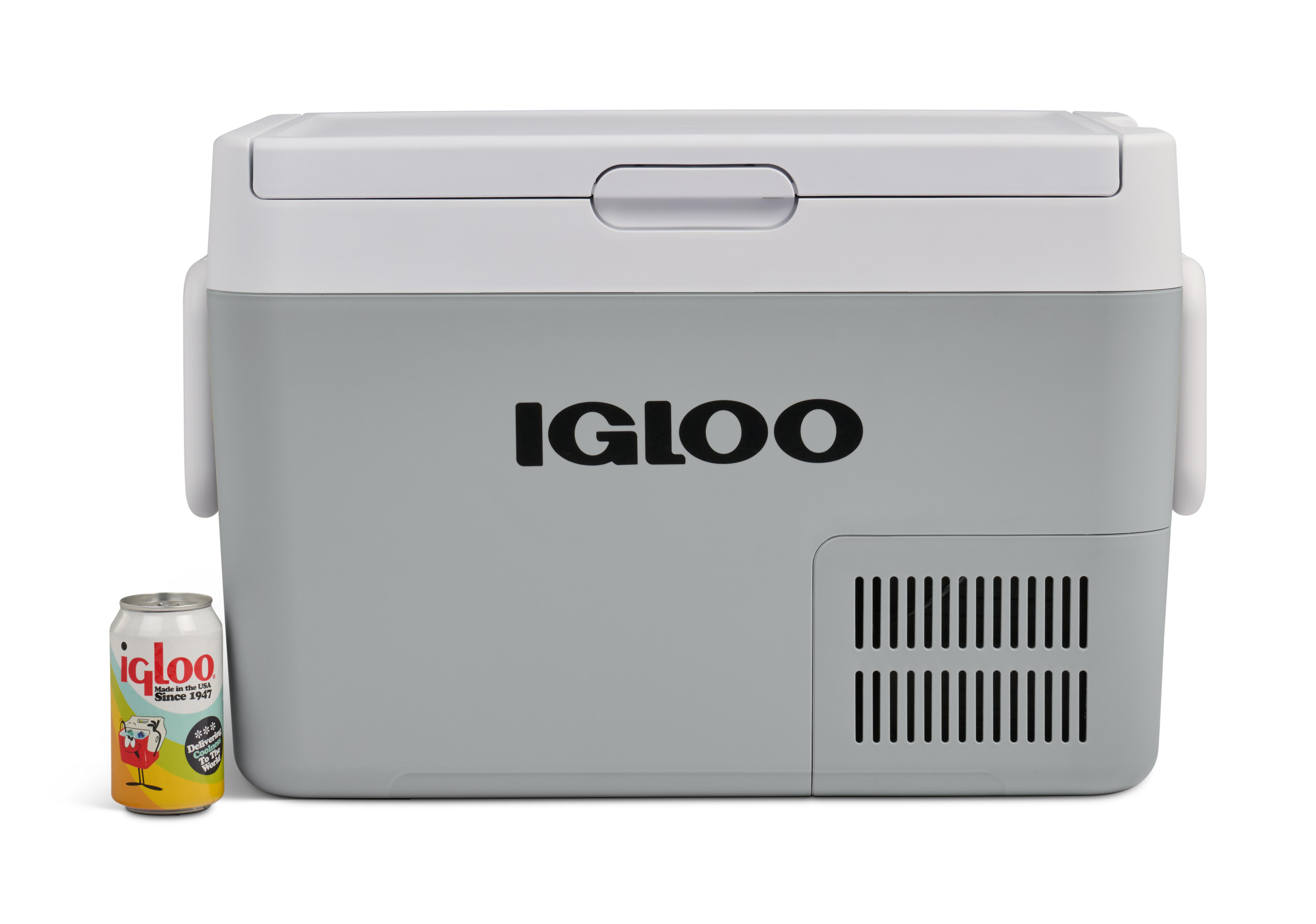 Ein grauer Igloo-Kühler mit einer Dose daneben.
