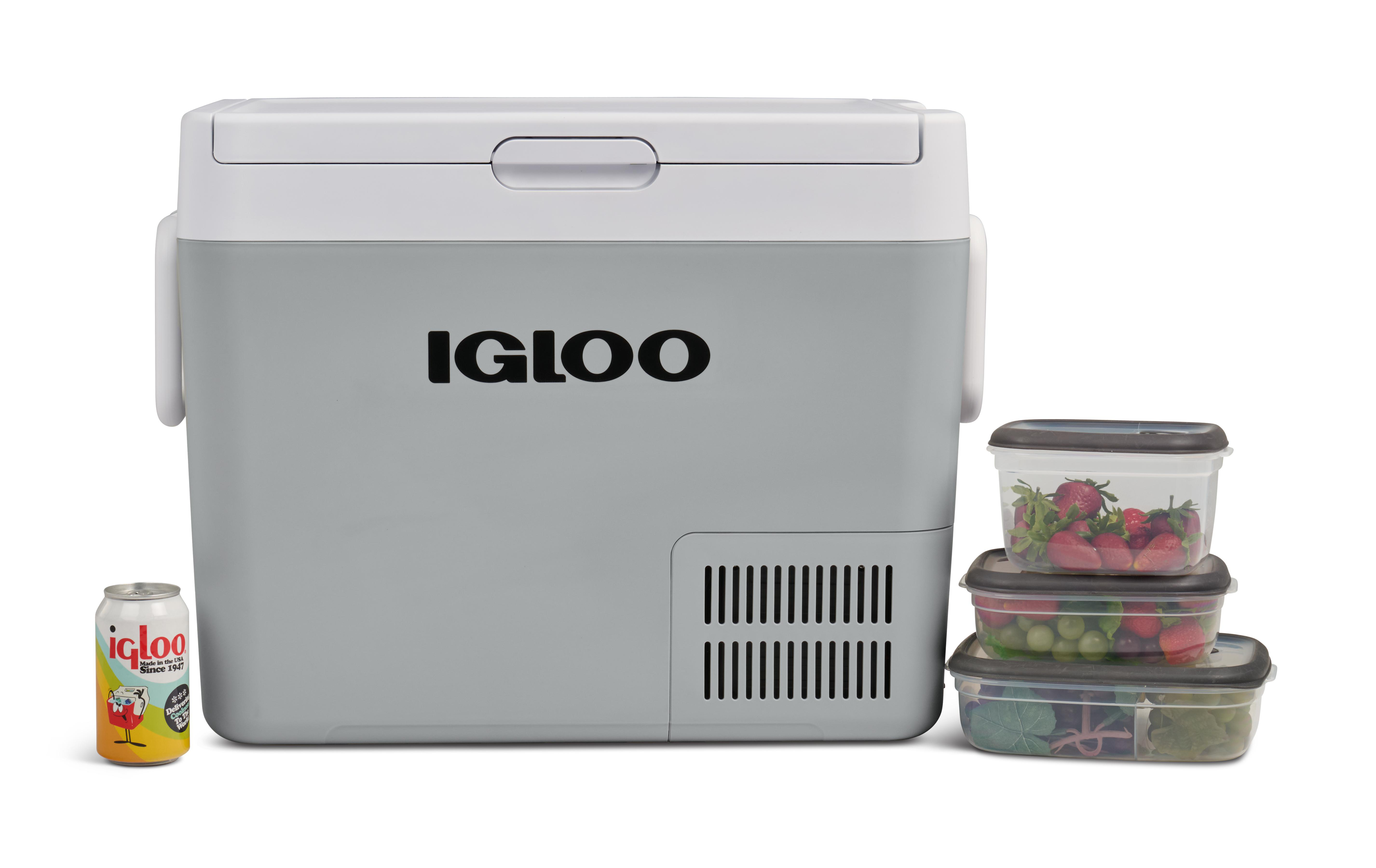 Ein grauer Igloo-Kühler mit einer Dose und drei Behältern mit Obst.