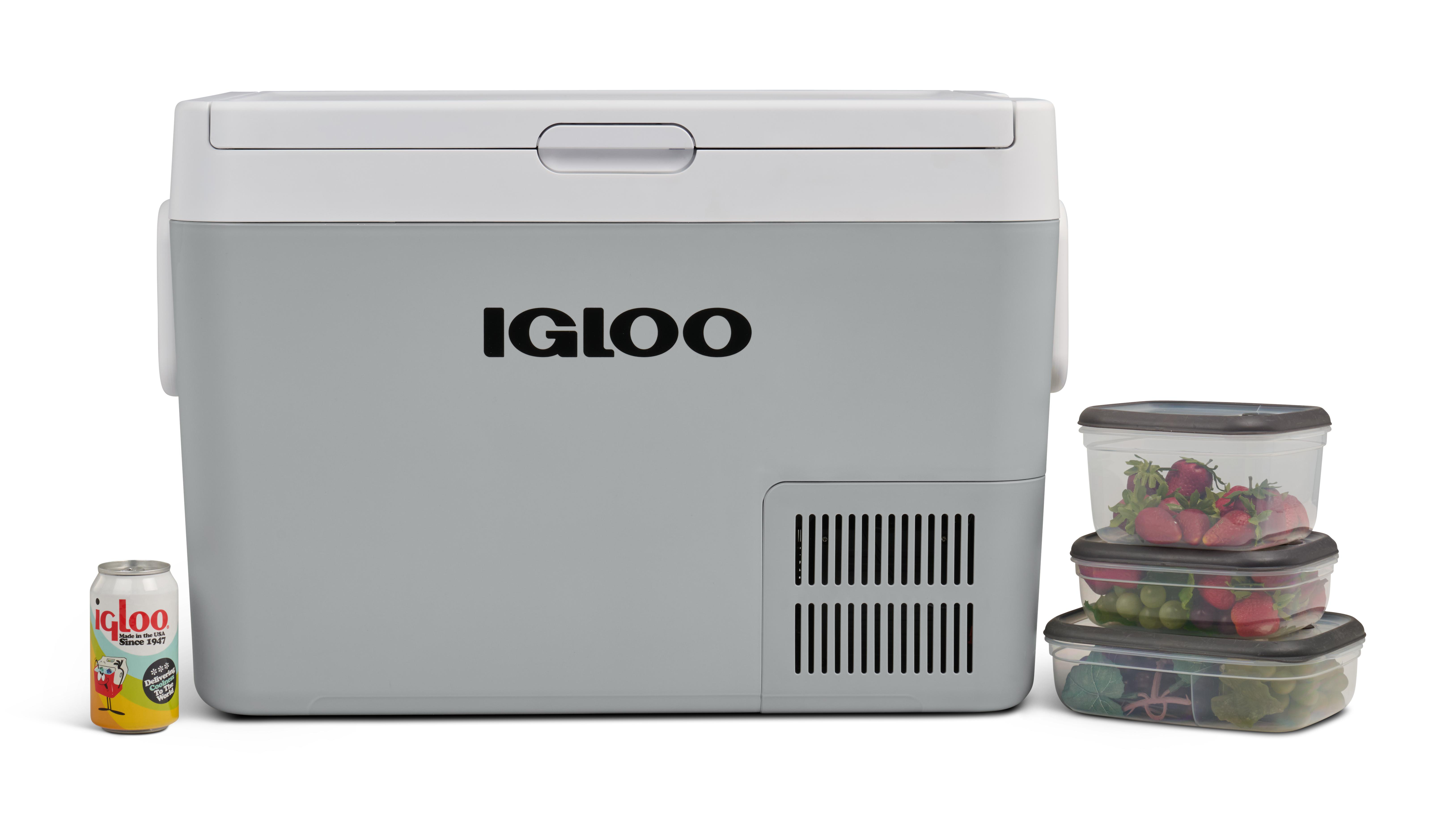 Ein grauer Igloo-Kühler mit einer Dose und drei Behältern mit Obst.