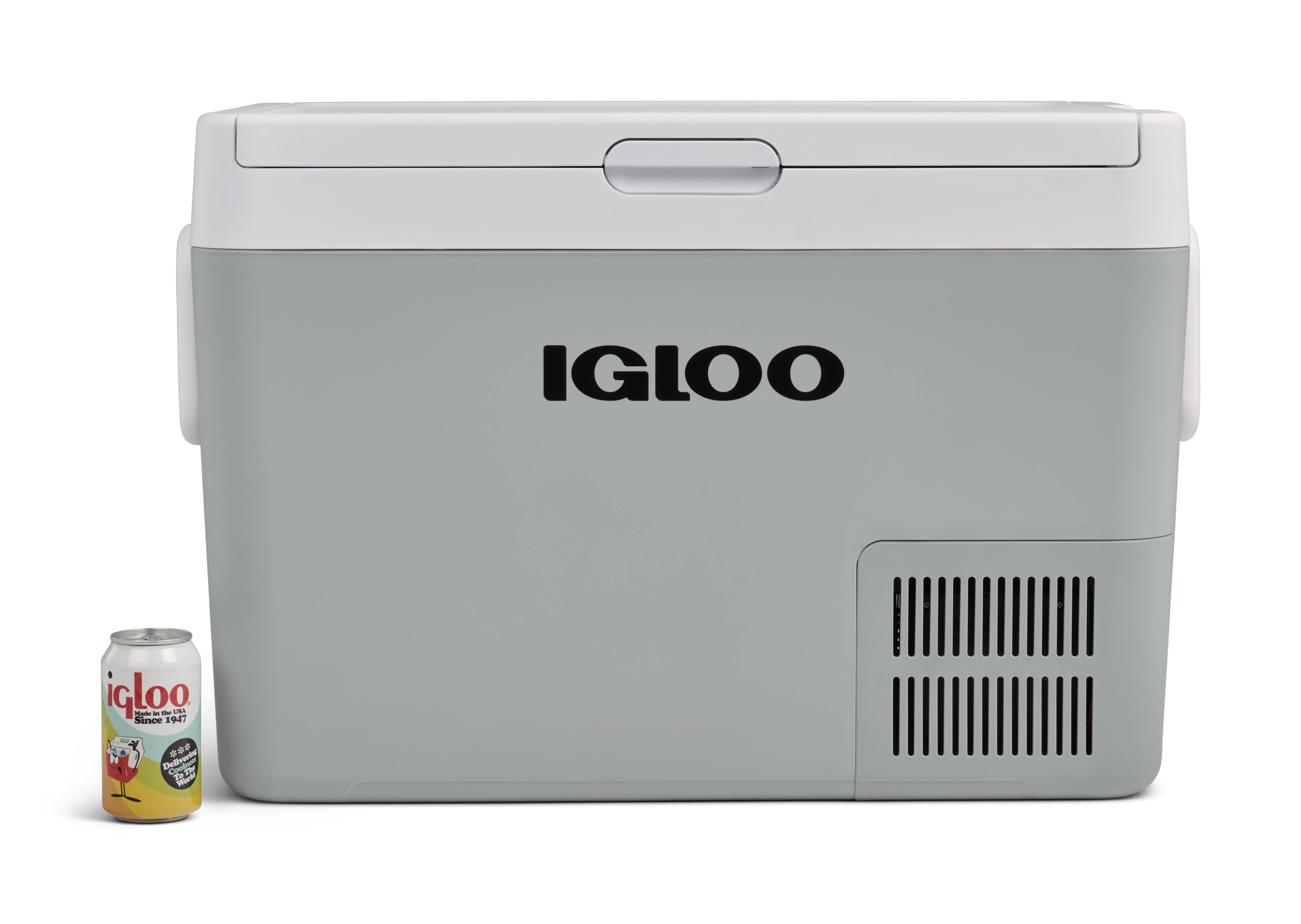 Ein grauer Igloo-Kühler mit weißem Deckel und einer Dose daneben.
