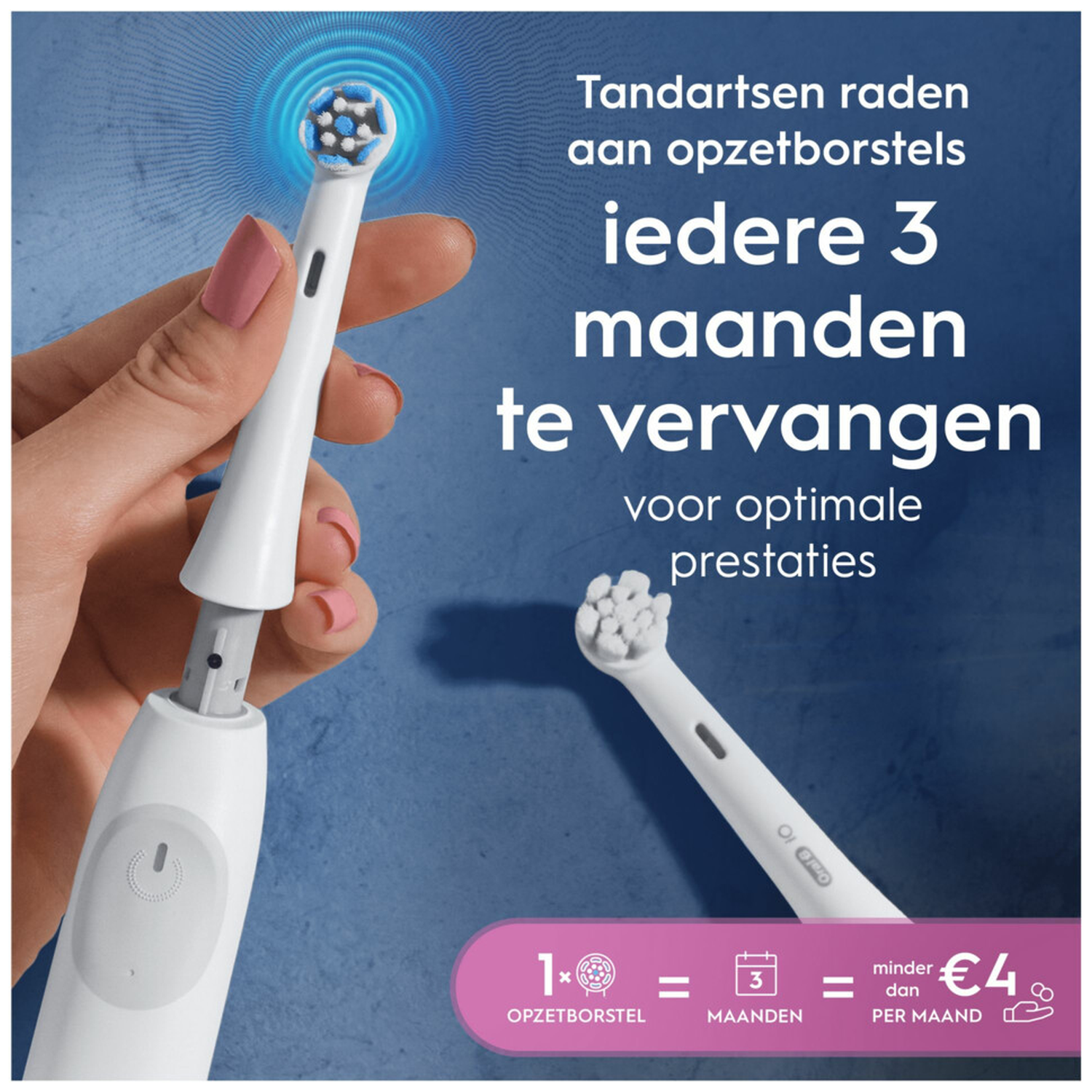 A toothbrush head is held by a hand. Dentists recommend replacing every 3 months.
