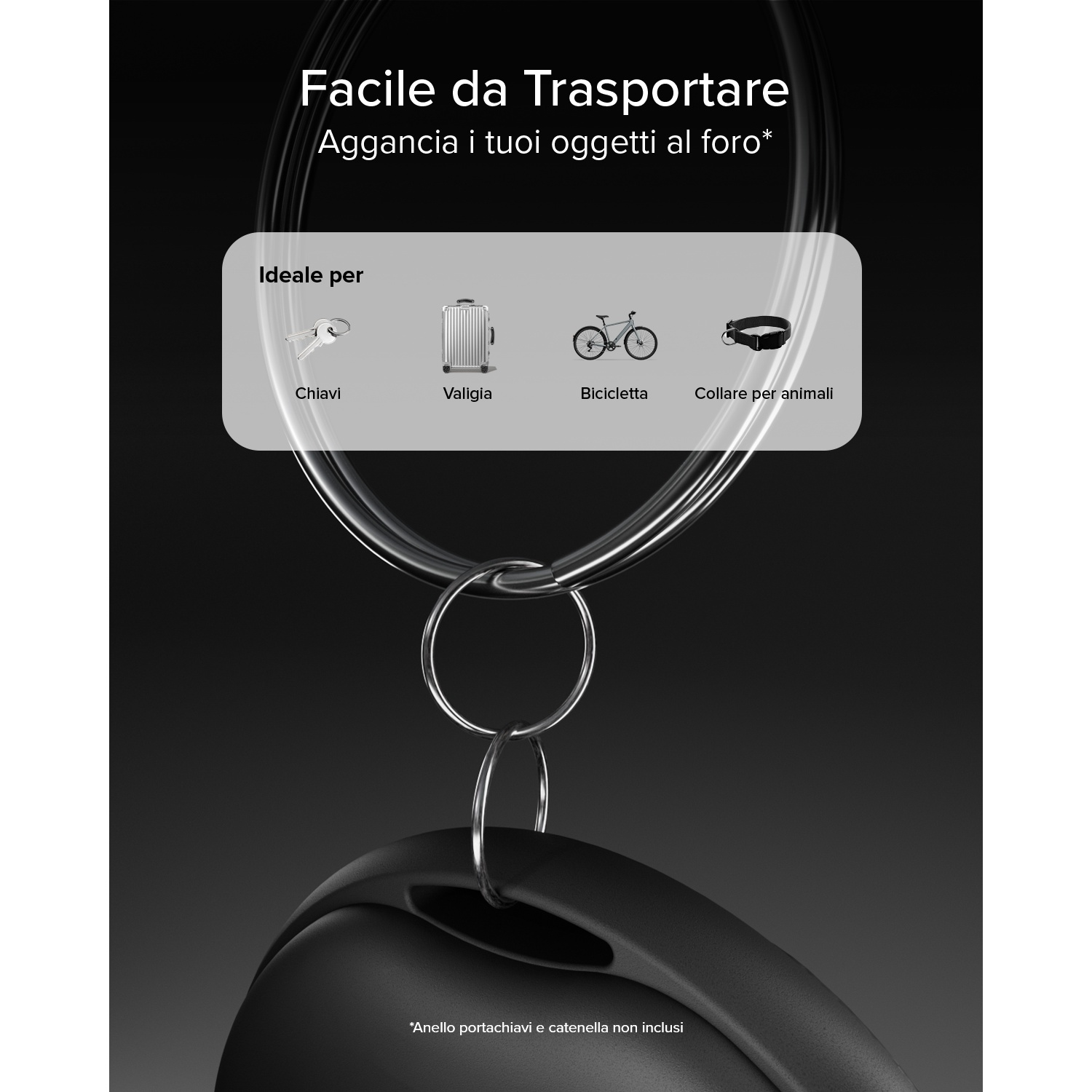 Illustrazione mostra chiavi, valigia, bicicletta e collare come oggetti ideali.