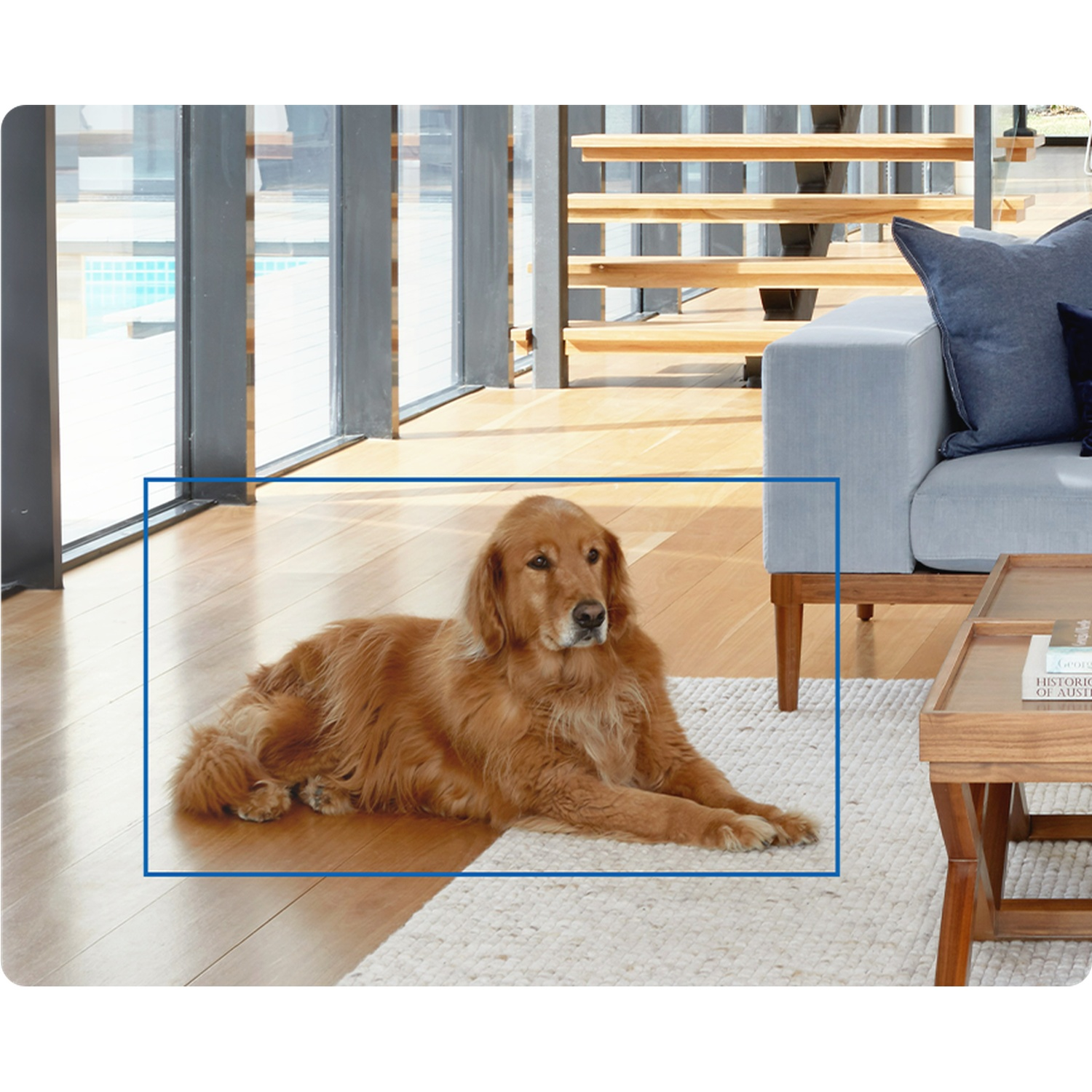 Een golden retriever ligt op een kleed naast een bank.