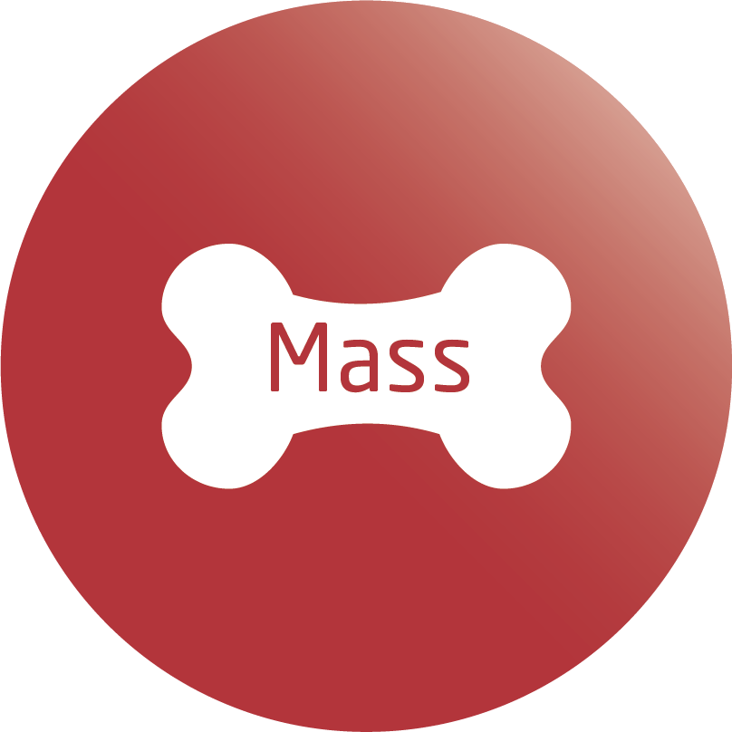 Biała kość ze słowem "Mass" na czerwonym kole.