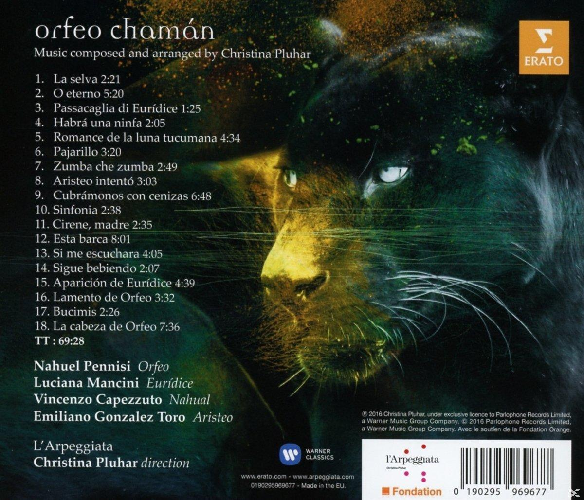 Egy fekete párduc sárga és zöld színezéssel, albumcím felül.