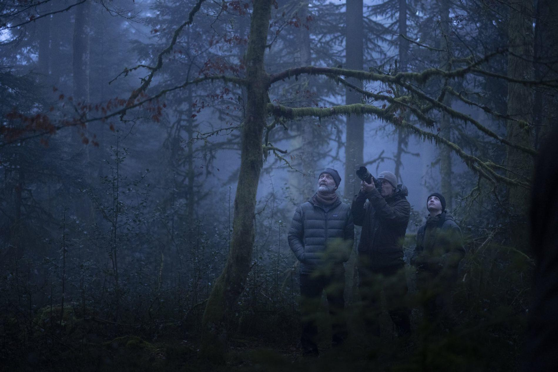 Drei Personen in einem nebligen Wald blicken nach oben. Einer hält eine Kamera.