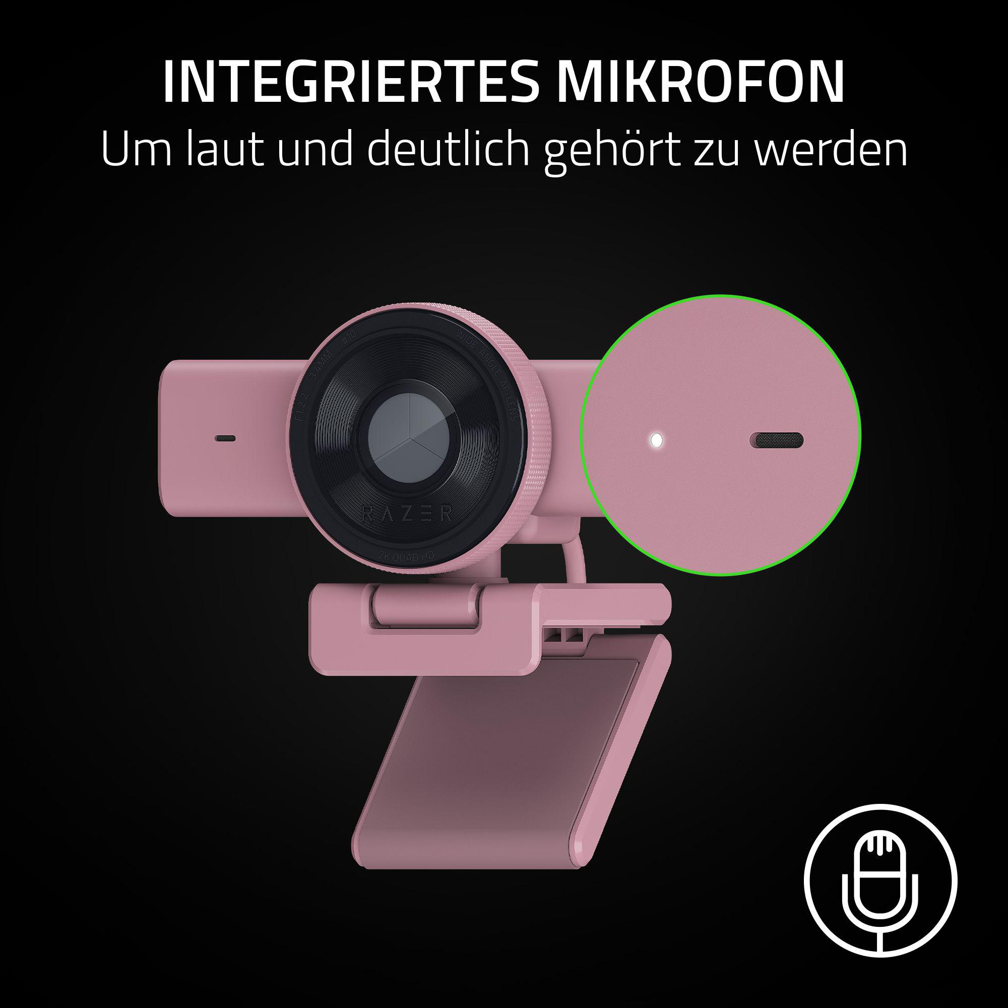 Eine rosafarbene Webcam mit integriertem Mikrofon und einer Leuchte.