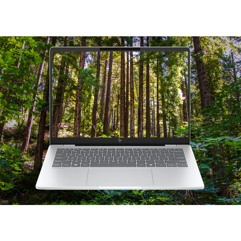 Srebrny laptop wyświetla scenę leśną, otoczony drzewami.