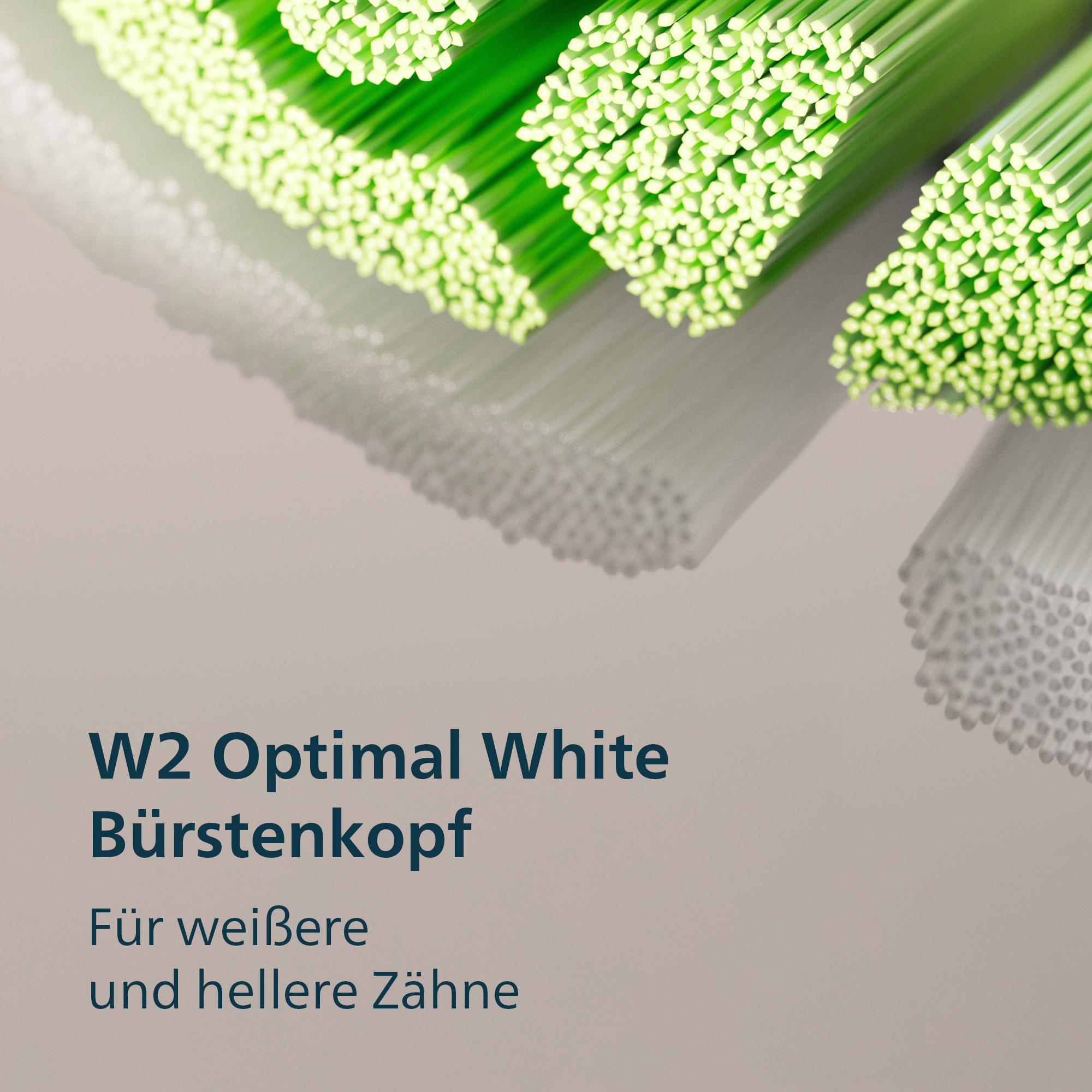 Grüner und weißer Bürstenkopf mit Text 'W2 Optimal White Bürstenkopf'