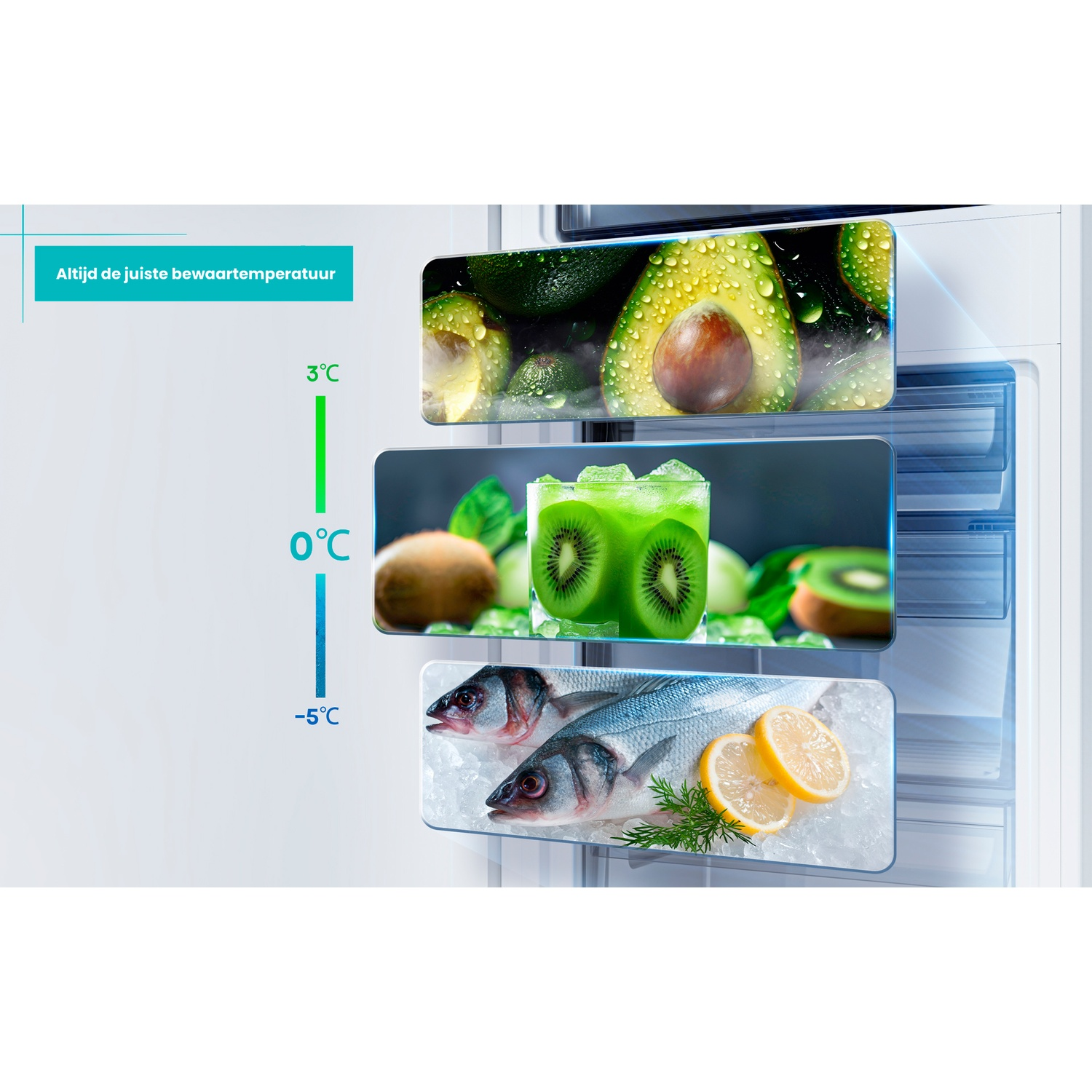 Refrigerator drawers with avocados, kiwi drink, fish, and lemon on ice.