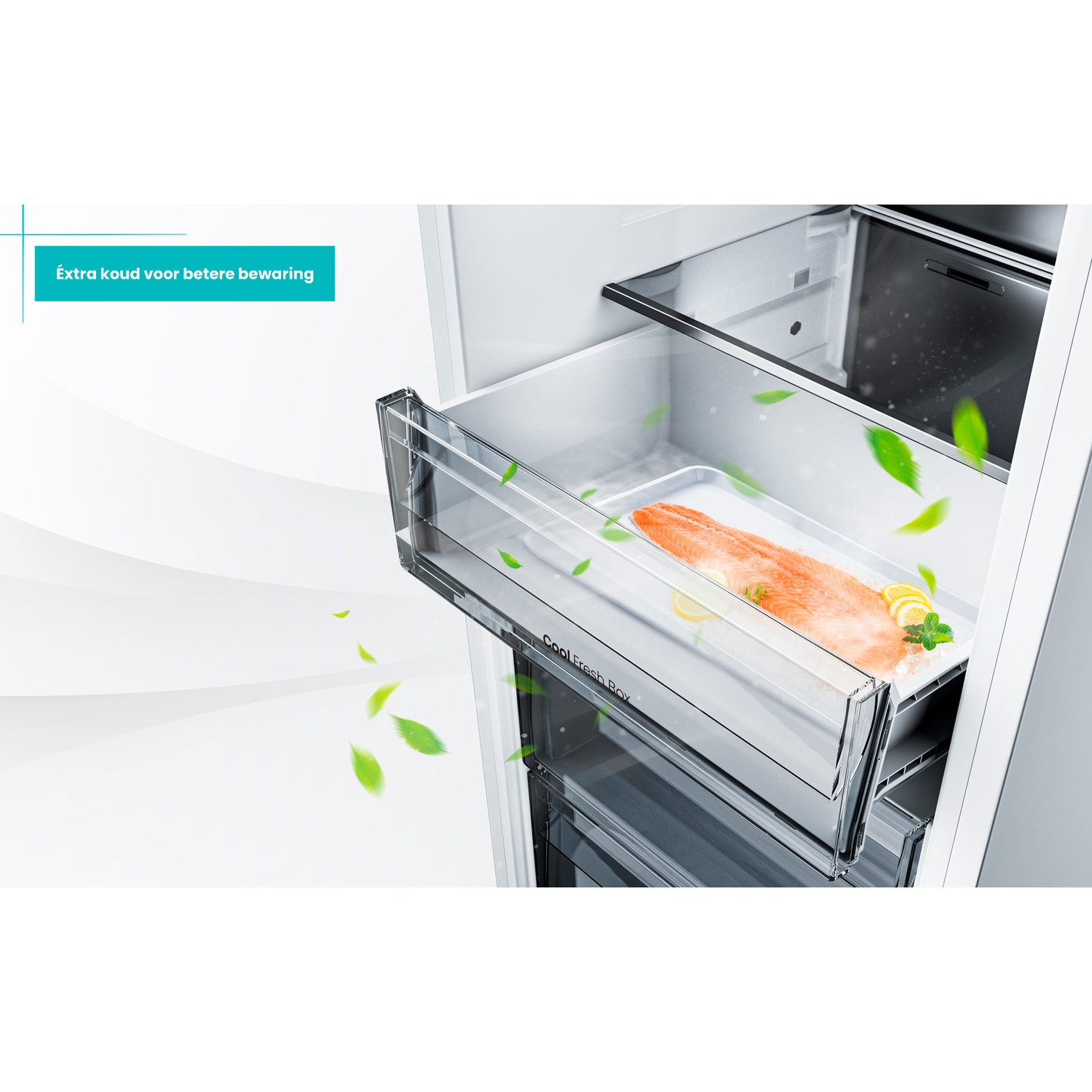 Salmon fillet in a clear drawer with lemon slices and mint.