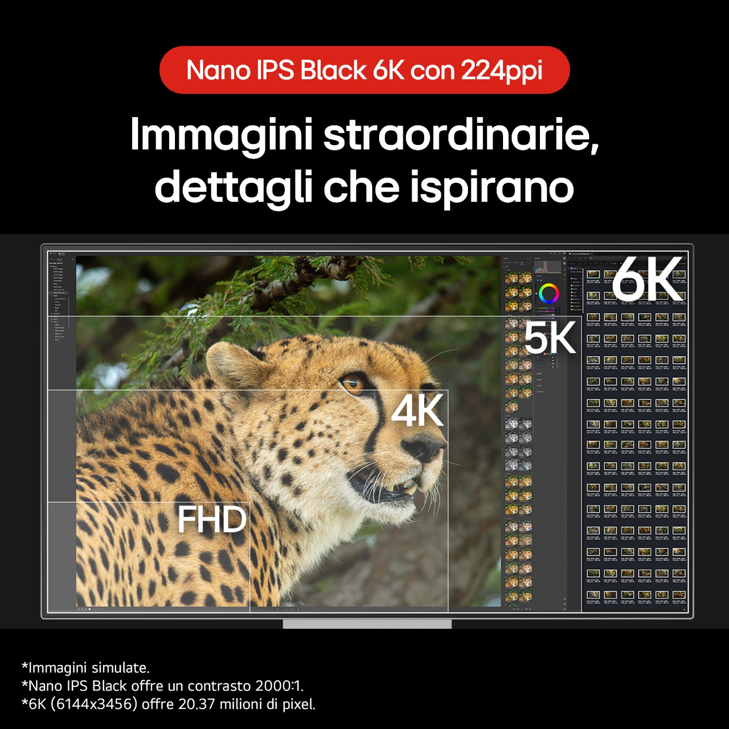 Un monitor mostra la testa di un ghepardo in risoluzione FHD, 4K, 5K e 6K.