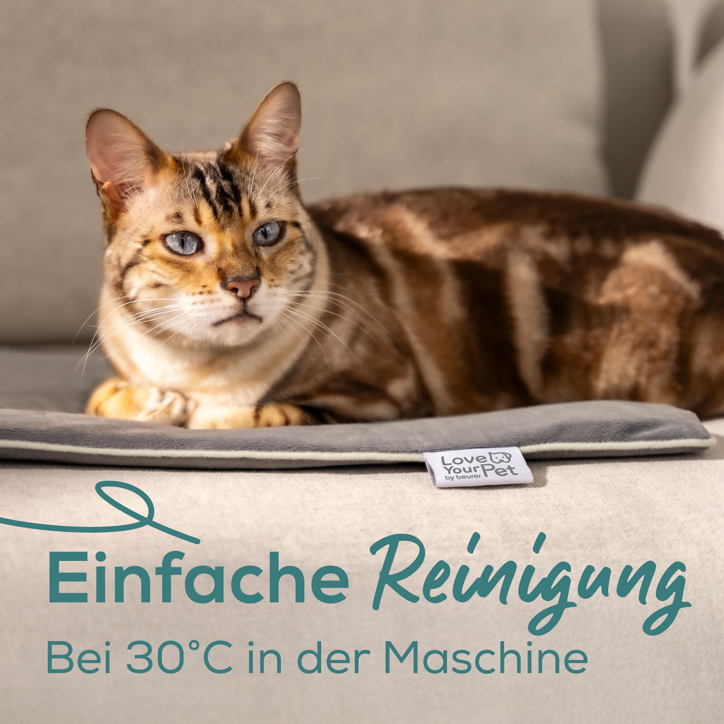 Ein Bengal-Katze liegt auf einer grauen Matte. Text: Einfache Reinigung.
