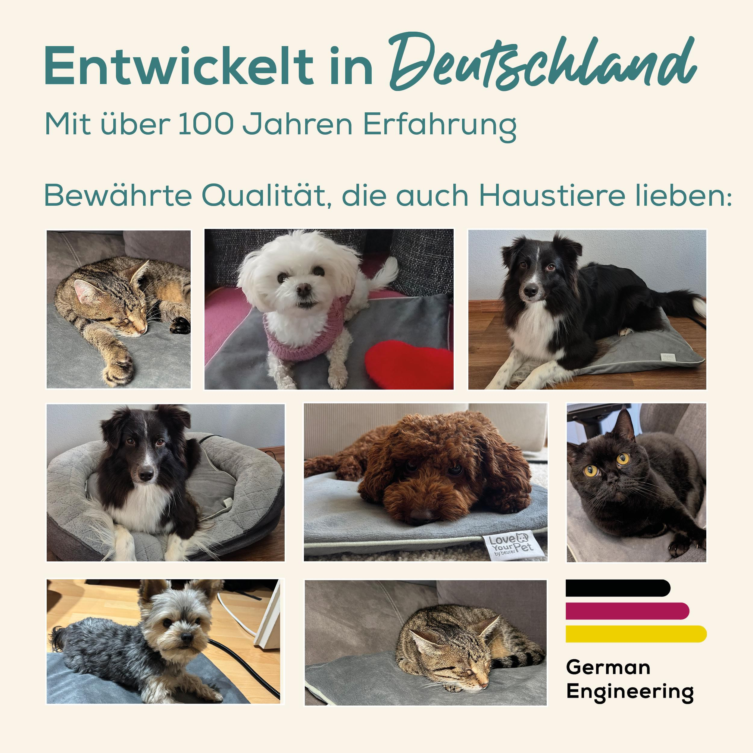 Collage mit Haustieren: Katzen und Hunde auf Kissen und Betten.