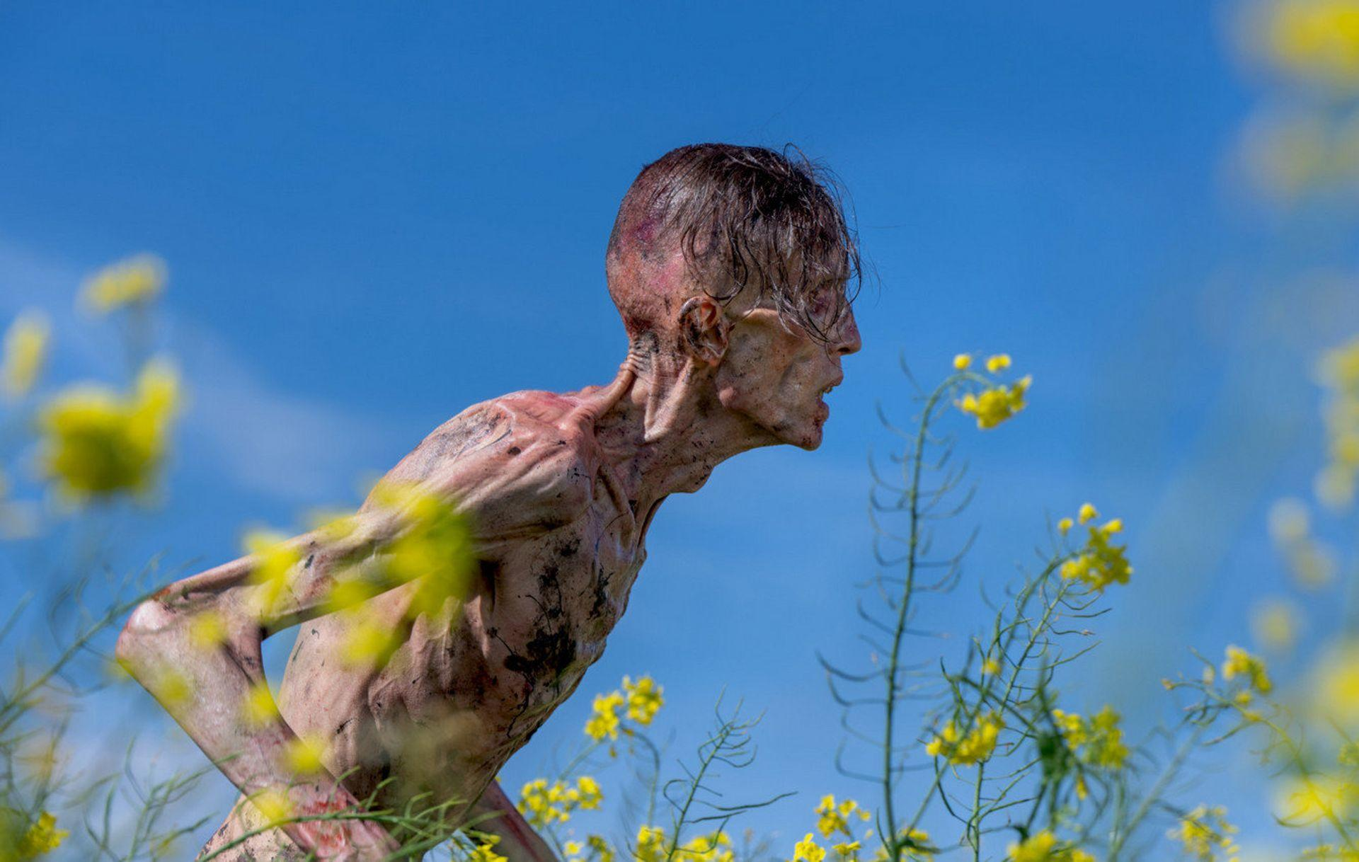 Eine ausgemergelte Figur steht in einem Feld mit gelben Blumen vor blauem Himmel.