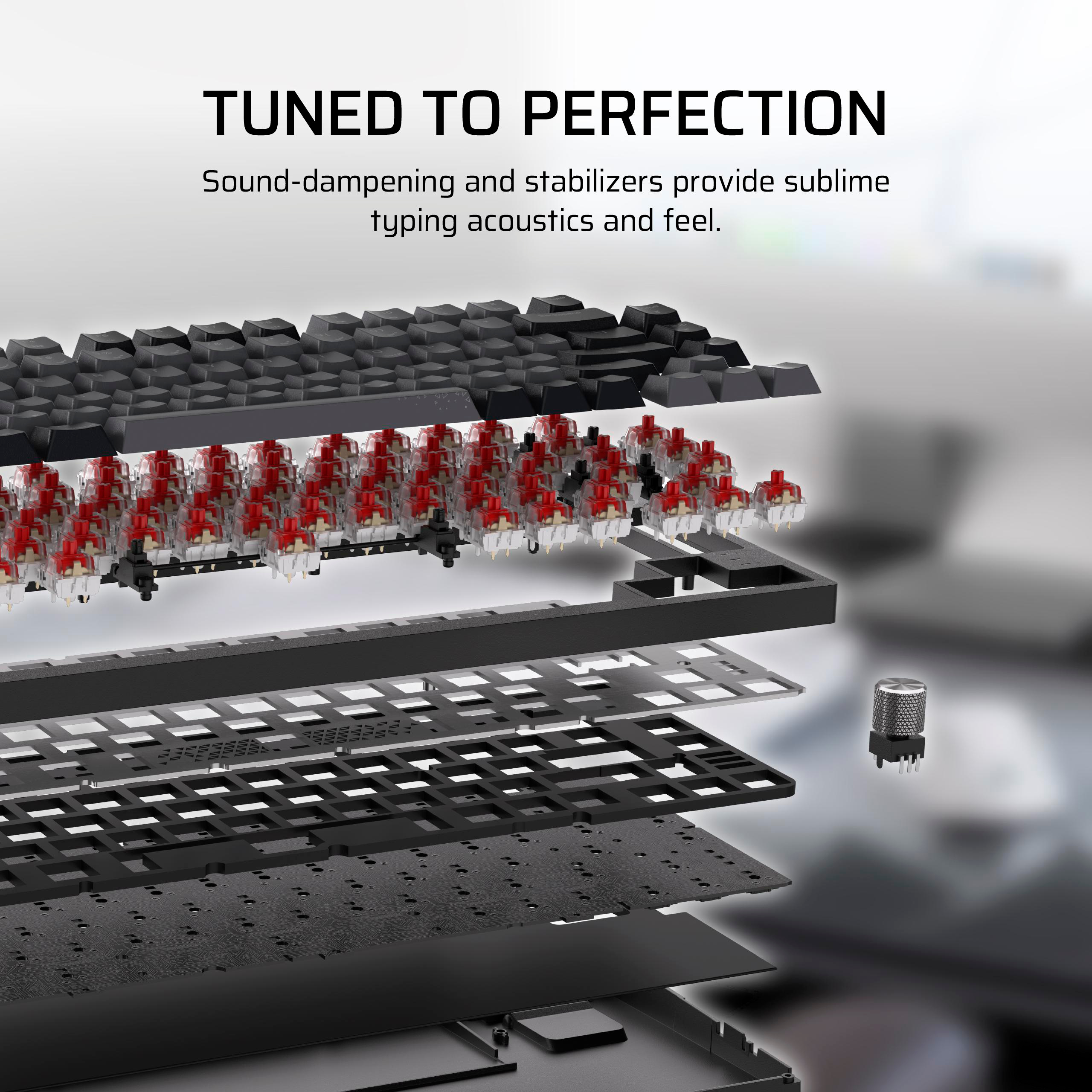 Explodierte Ansicht einer Tastatur mit roten Schaltern und schwarzen Tasten.