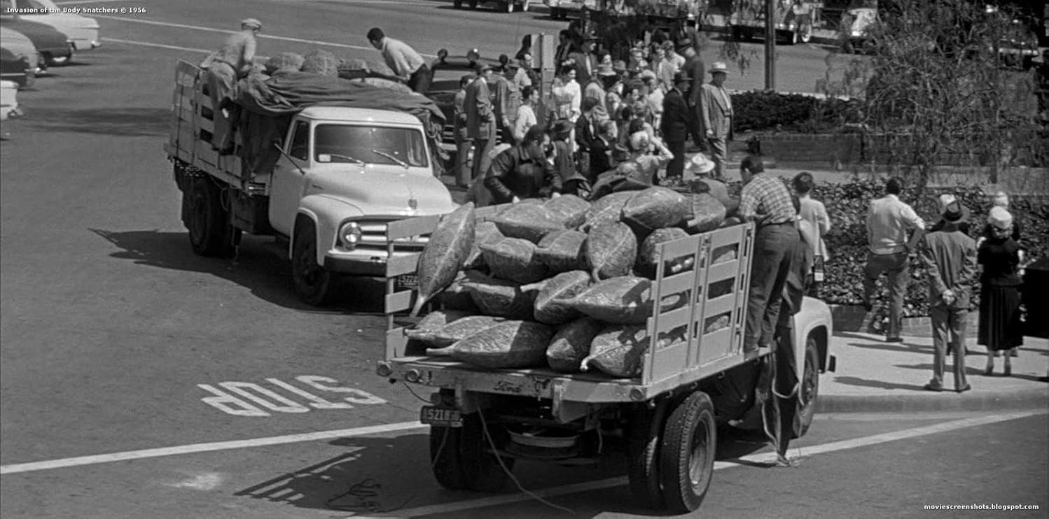 Schwarz-Weiß-Foto von zwei Lastwagen, gefüllt mit großen, dunklen, klumpigen Objekten auf einer Straße mit einer Menschenmenge.