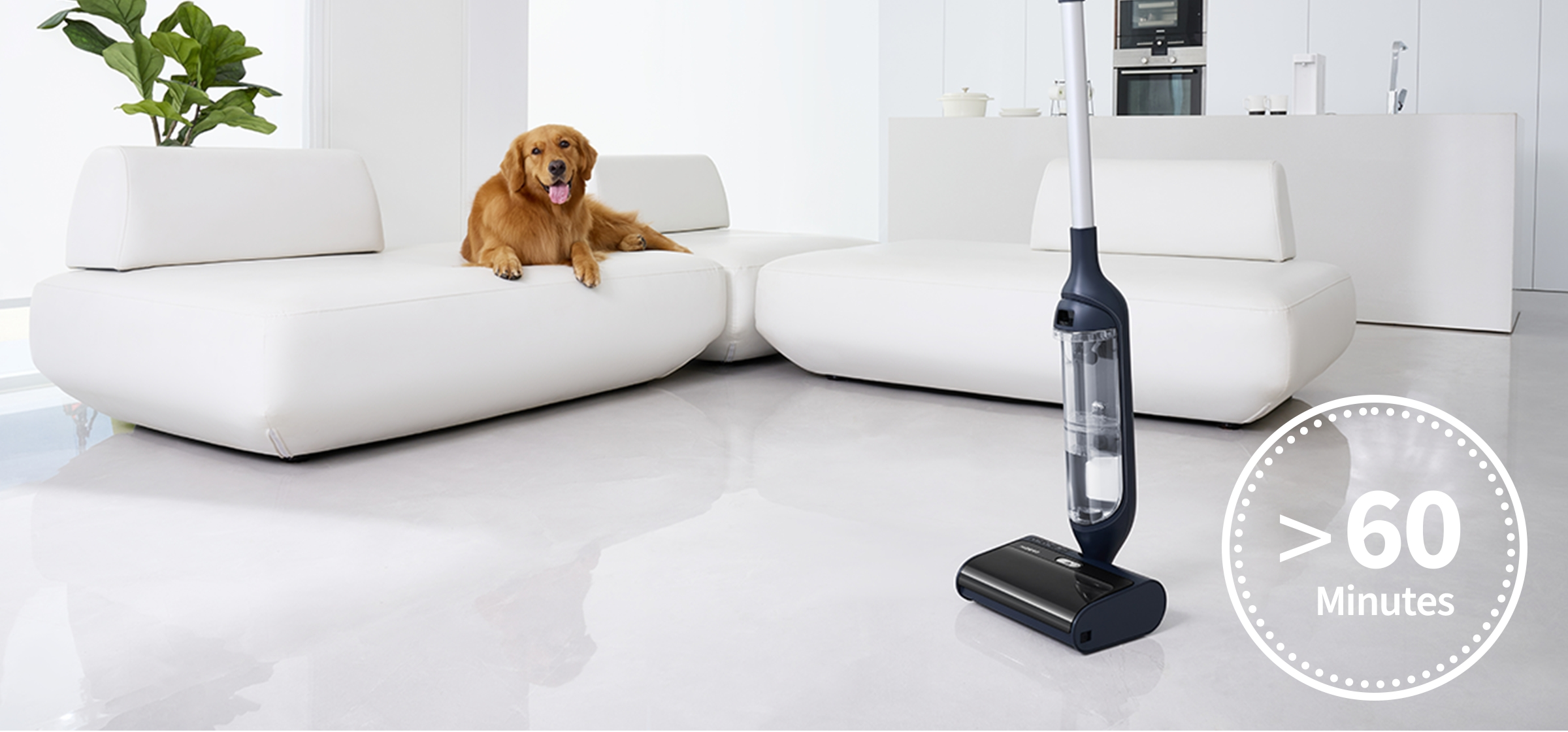 Ein Golden Retriever liegt auf einem weißen Sofa in einem modernen Raum mit einem dunkelblauen Bodenreiniger. Ein Timer zeigt '<gt/>60 Minuten'.