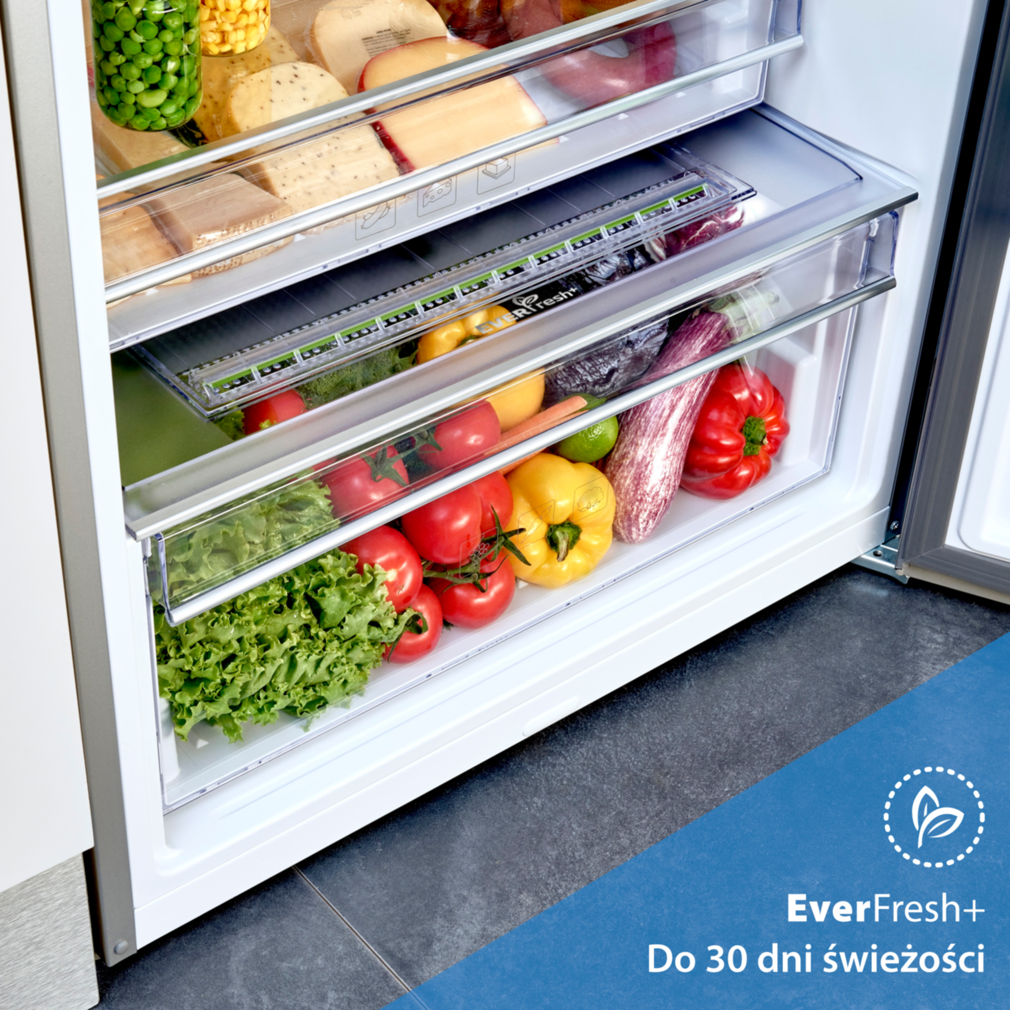 Szuflada lodówki wypełniona świeżymi produktami: sałata, pomidory, papryka, bakłażan, marchewka.