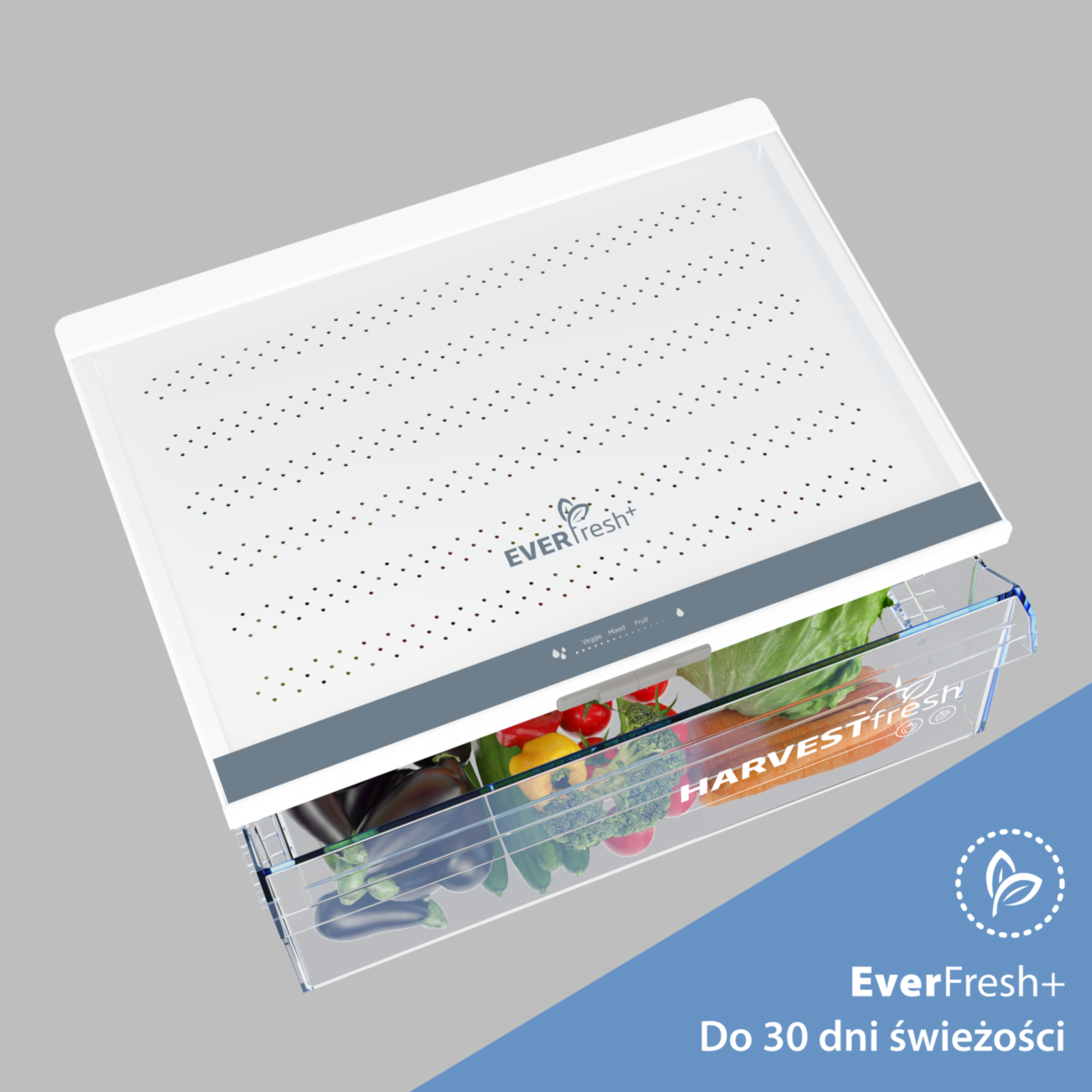 Biała szuflada lodówki wypełniona różnymi świeżymi warzywami.