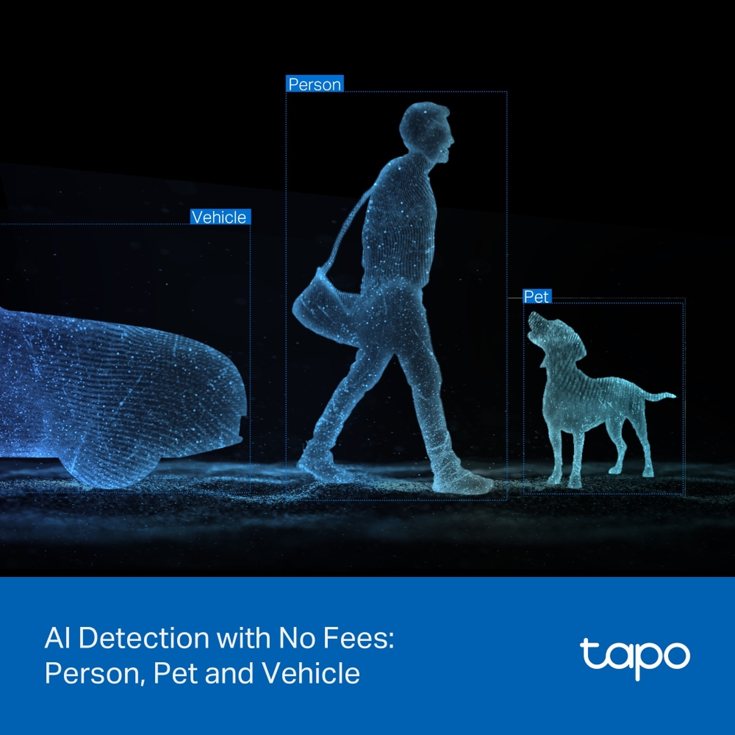 AI highlights a person, pet, and vehicle with detection boxes.