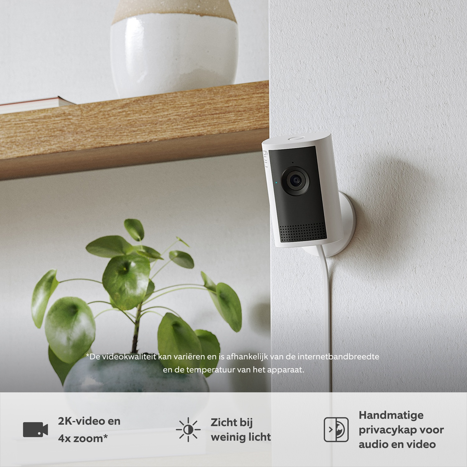 Ring camera aan een muur, met plant in pot en plank op achtergrond.