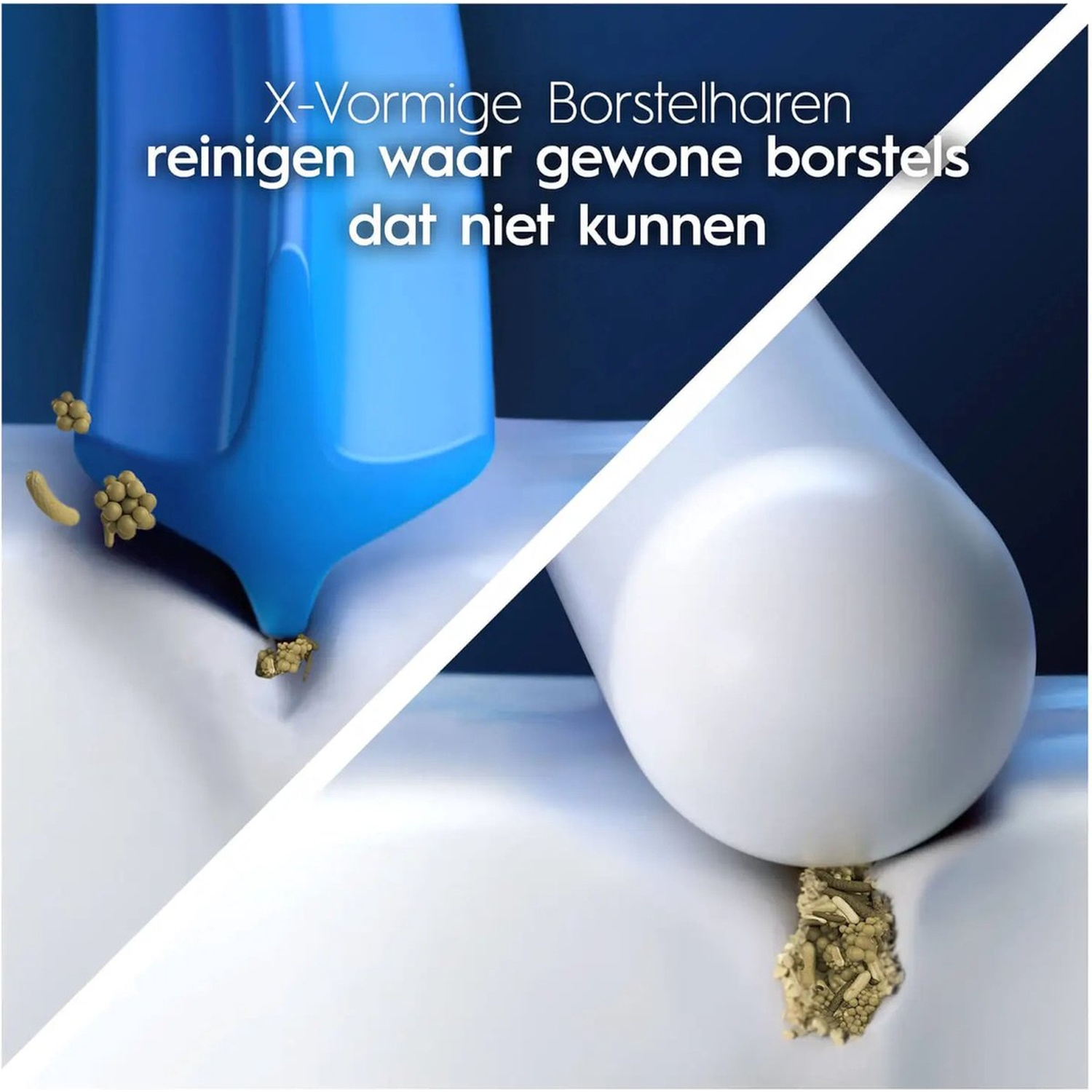 Des poils en X nettoient là où les poils normaux ne peuvent pas.