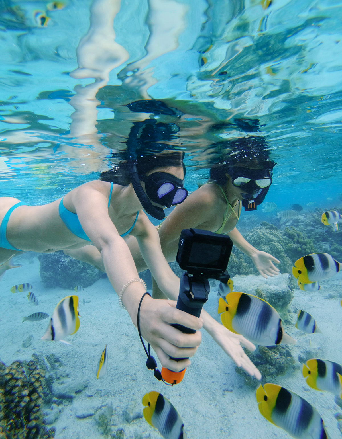 Zwei Frauen schnorcheln mit Fischen im flachen Wasser. Eine hält eine Kamera.
