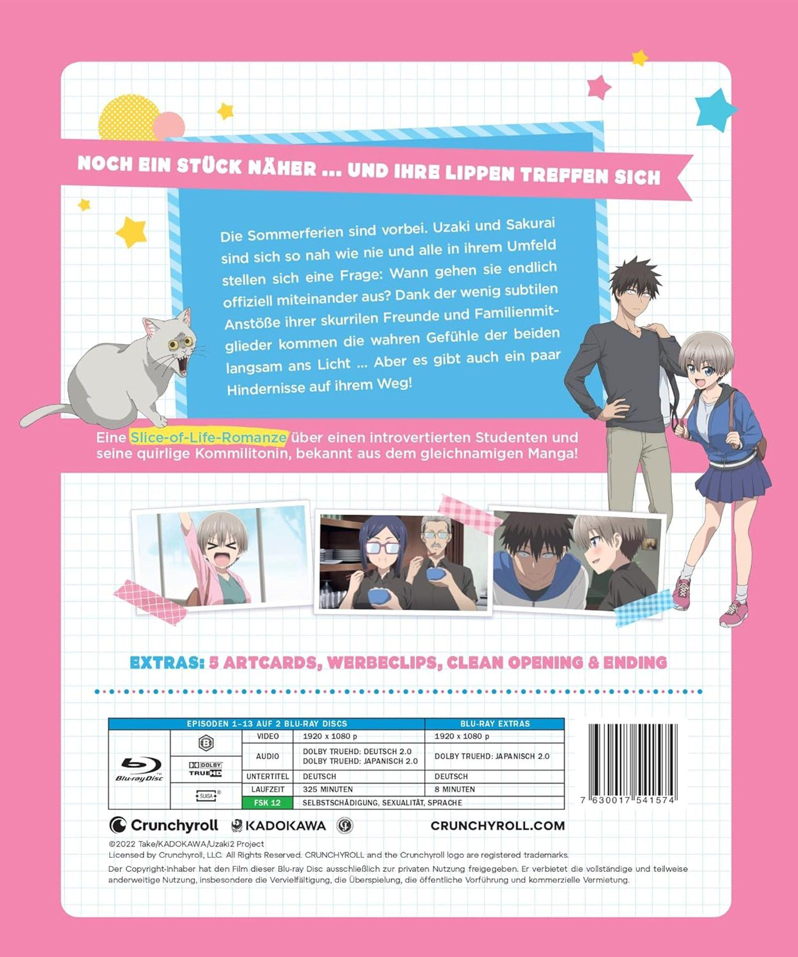 Anime Blu-ray Cover: Ein Mann und eine Frau stehen nebeneinander, eine Katze sitzt links.