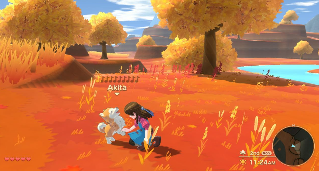 Ein Mädchen mit braunen Haaren und blauem Kleid spielt mit einem Hund in einer herbstlichen Landschaft.