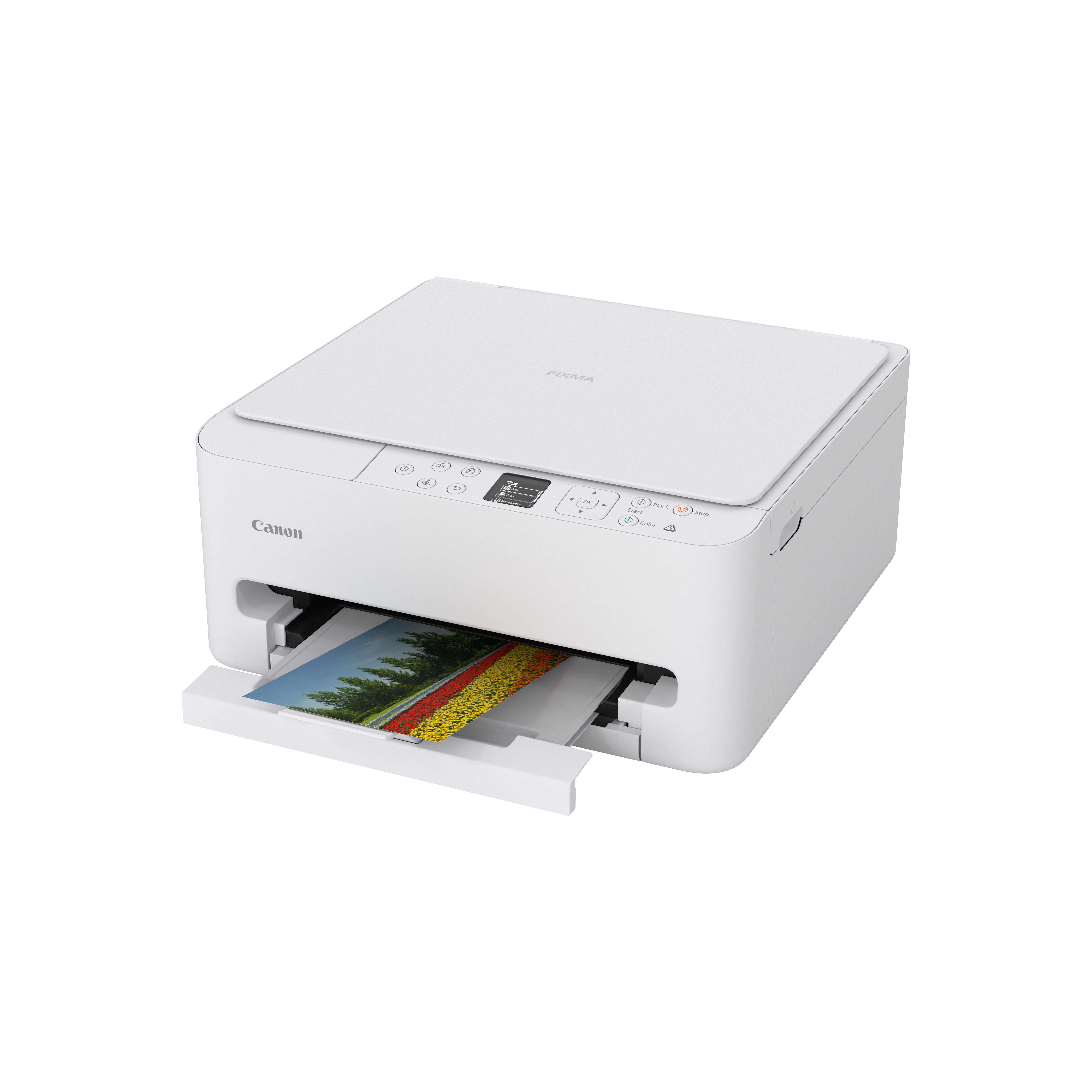 Ein weißer Canon Pixma Drucker mit einem Bild von Blumen auf Papier, das aus der Schublade kommt.