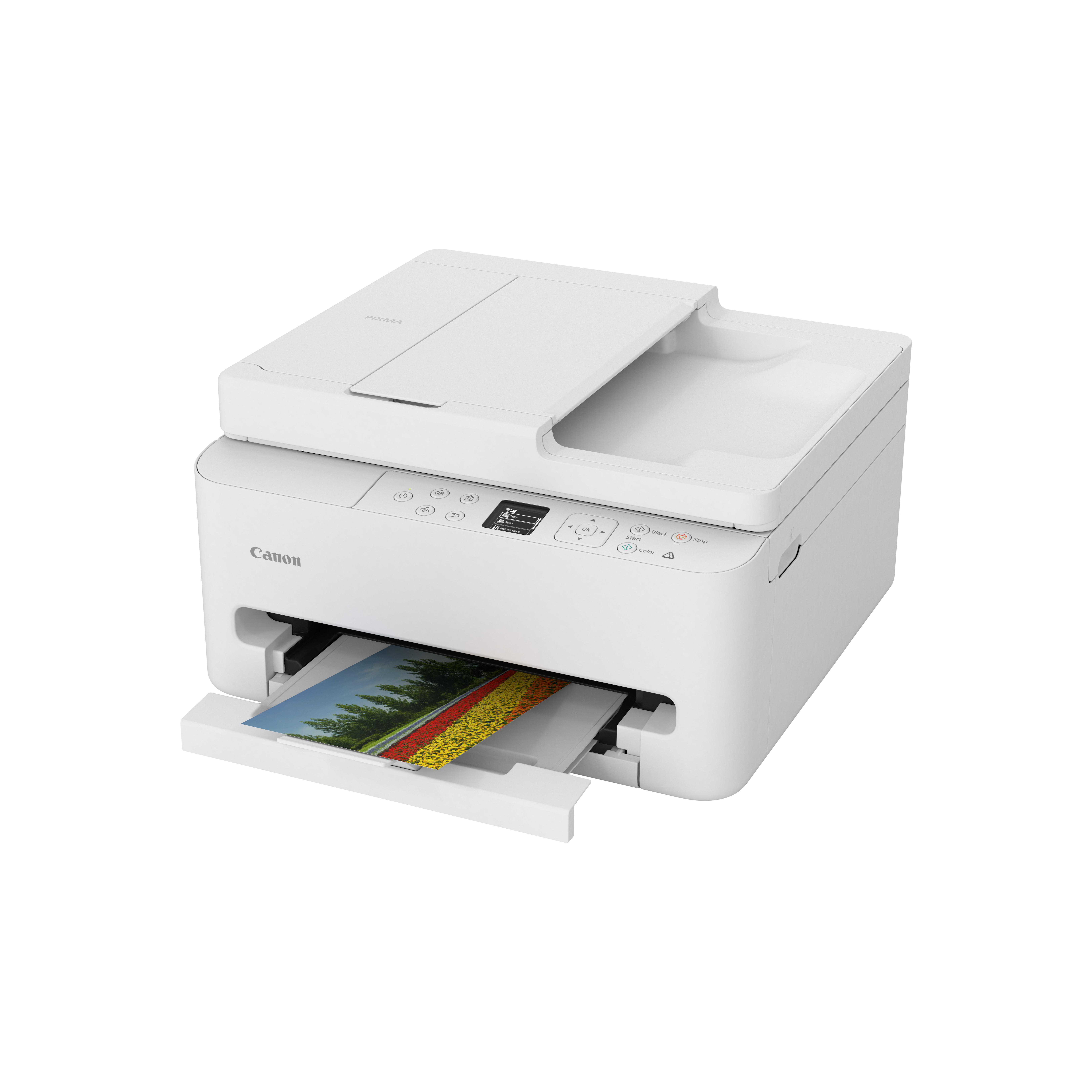 Ein weißer Canon Drucker mit einem Bild von Blumen und Bäumen, das aus der Papierausgabe herausragt.