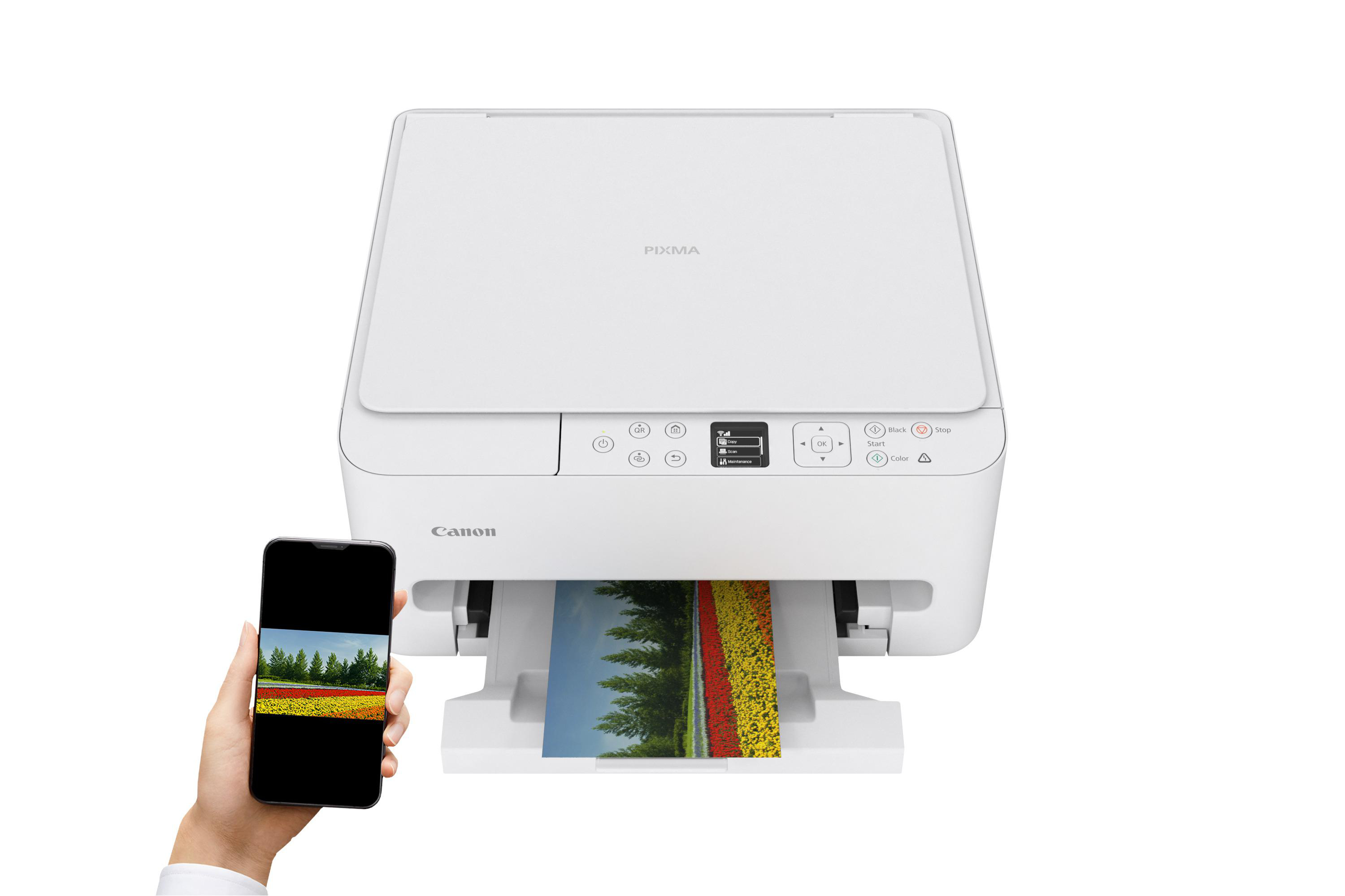 Ein weißer Canon Pixma Drucker druckt ein Bild von Blumenfeldern. Ein Smartphone zeigt dasselbe Bild.