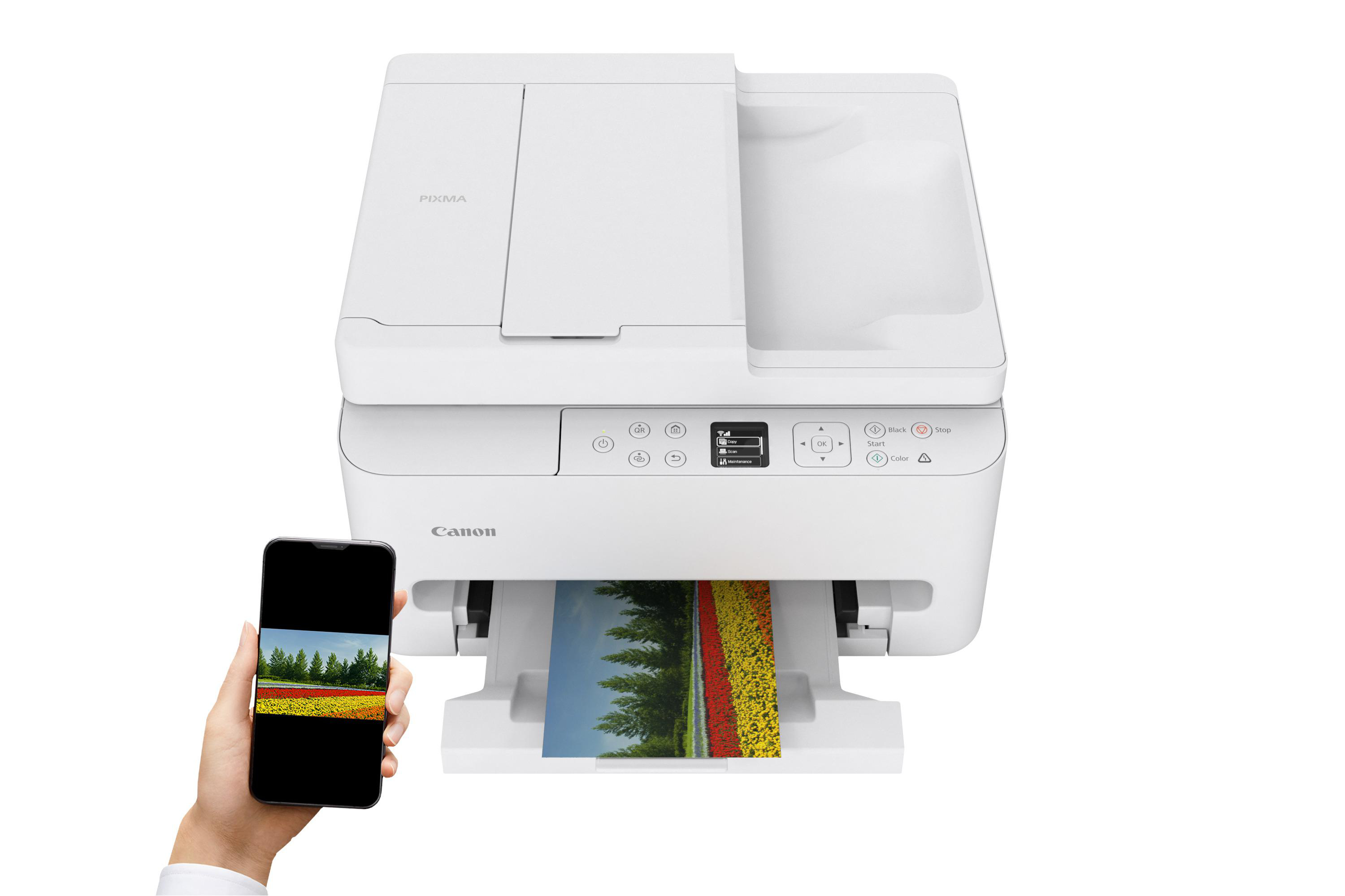 Ein Smartphone zeigt ein Blumenfeld, daneben ein weißer Drucker druckt dasselbe Bild.