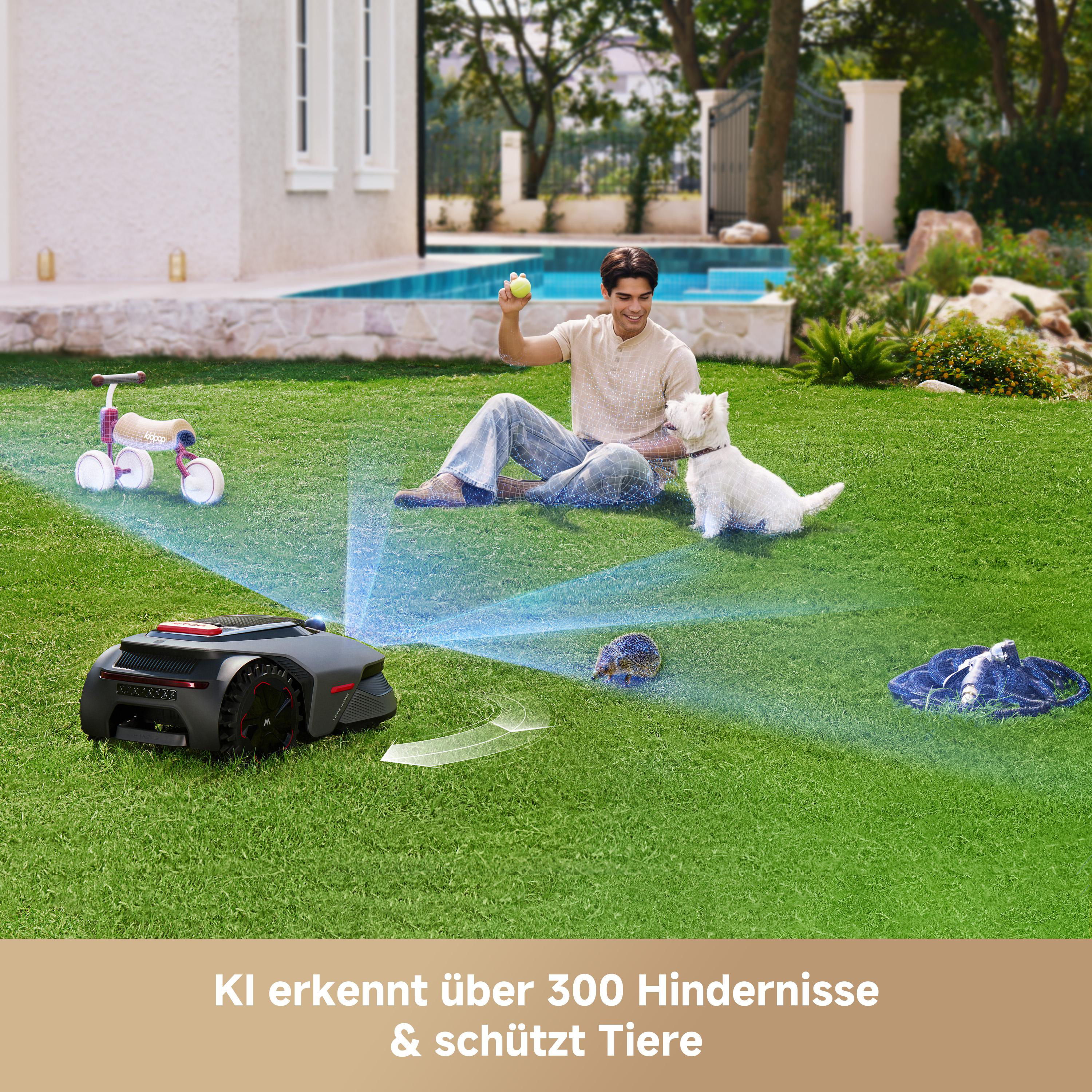 Ein Rasenmähroboter erkennt einen Igel und einen Hund auf einem Rasen.
