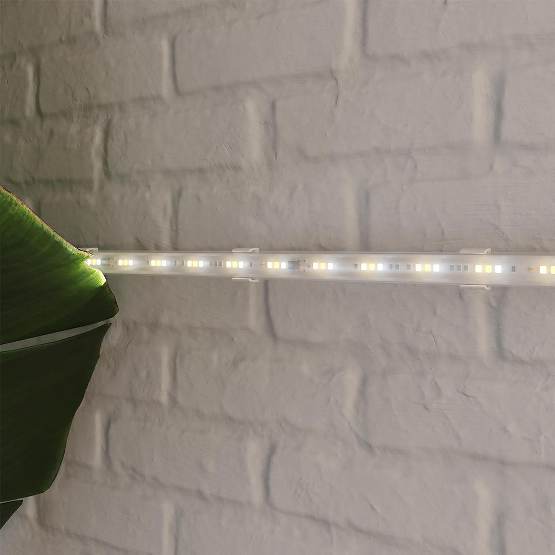 Eine grüne Pflanze mit einem LED-Streifen vor einer weißen Ziegelwand.