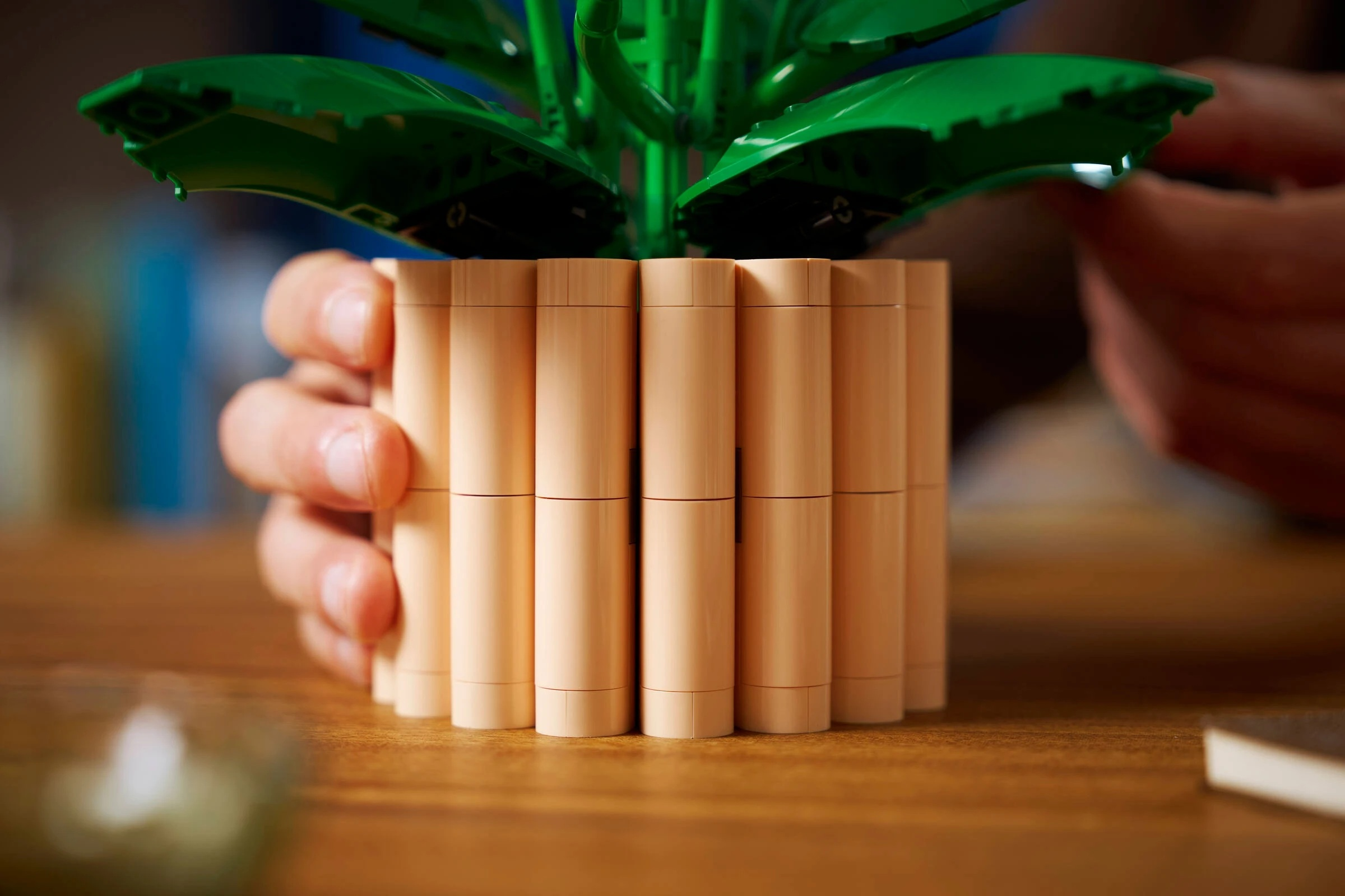 Zielone liście Lego nad beżową doniczką w kształcie cylindra trzymaną przez ręce.