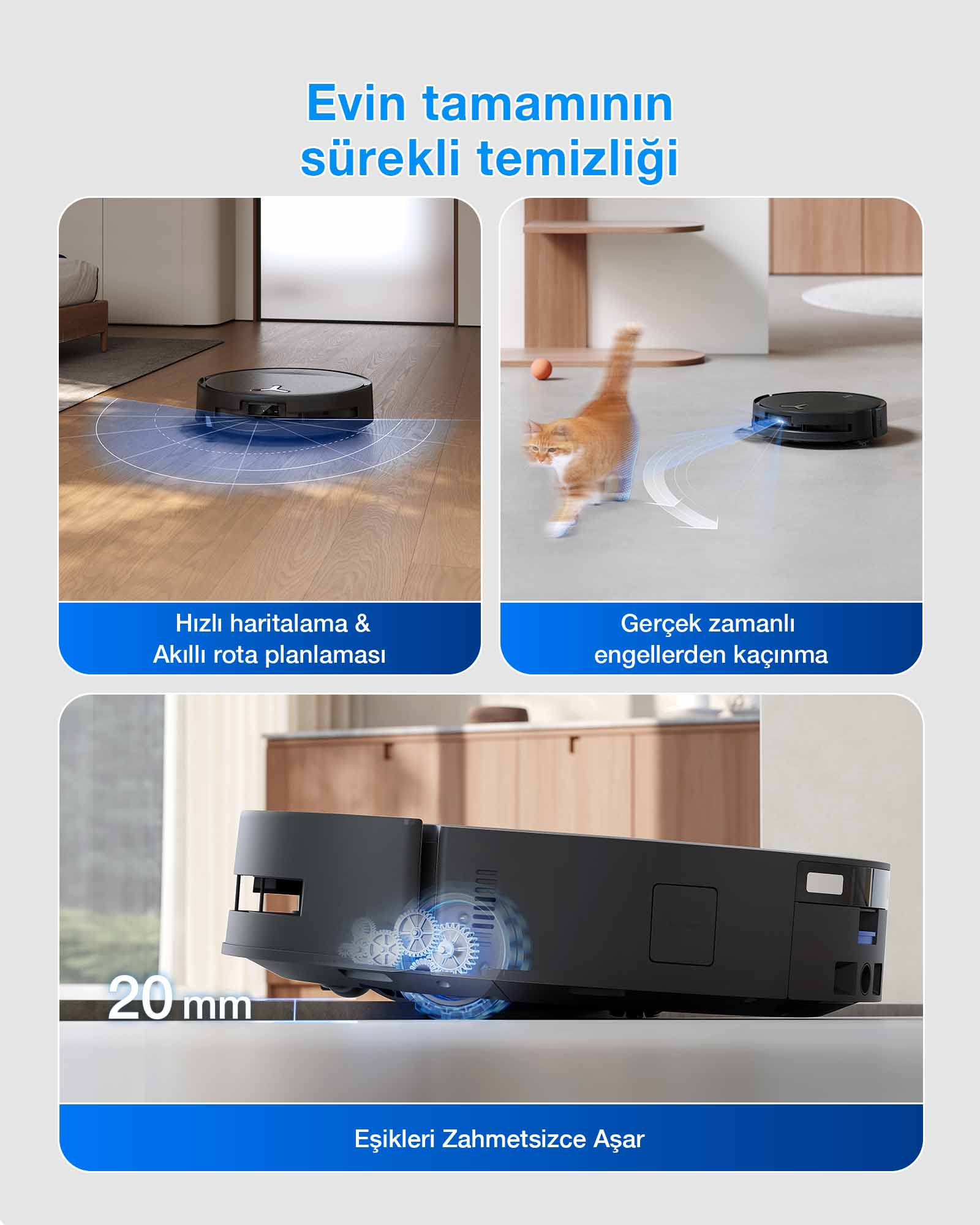 Robot süpürge, kediye çarpmadan ahşap zemini temizliyor.