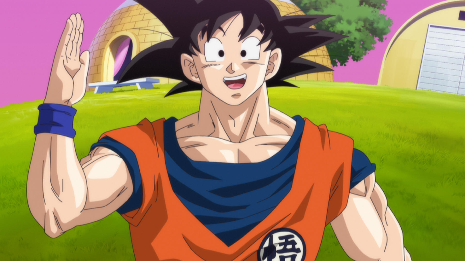 Goku winkt mit der Hand, trägt ein orangefarbenes Gi und steht auf einer grünen Wiese.
