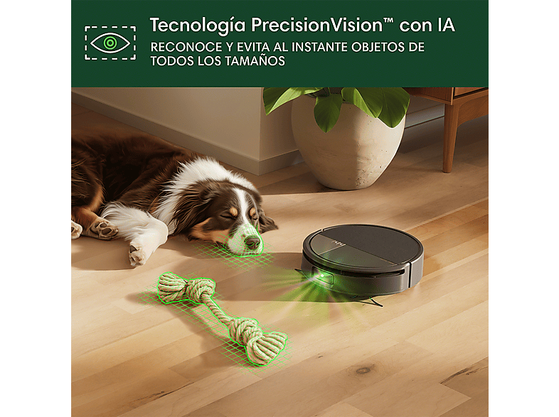 Vista 3